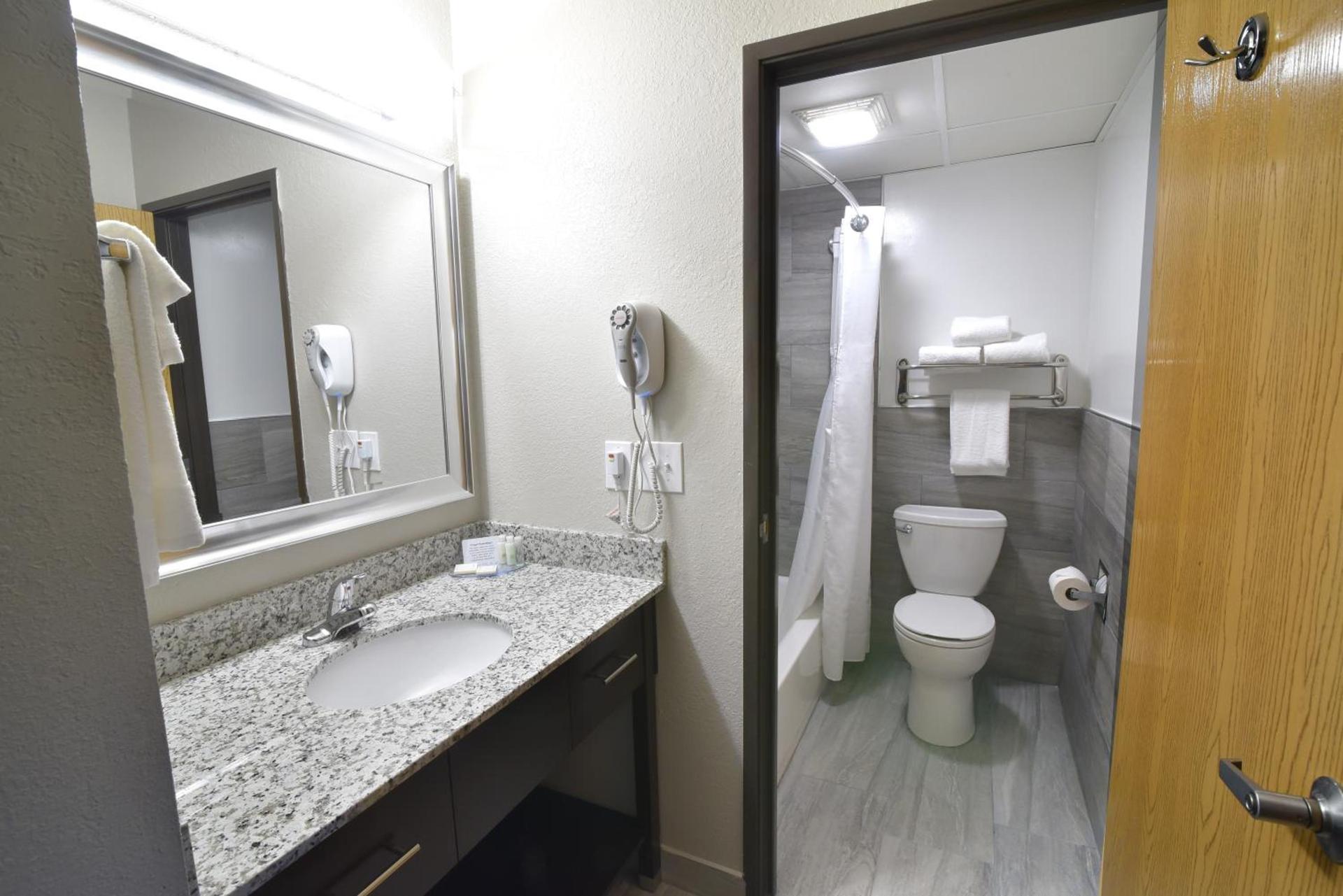 Best Western Plus Flint Airport Inn & Suites photo 42