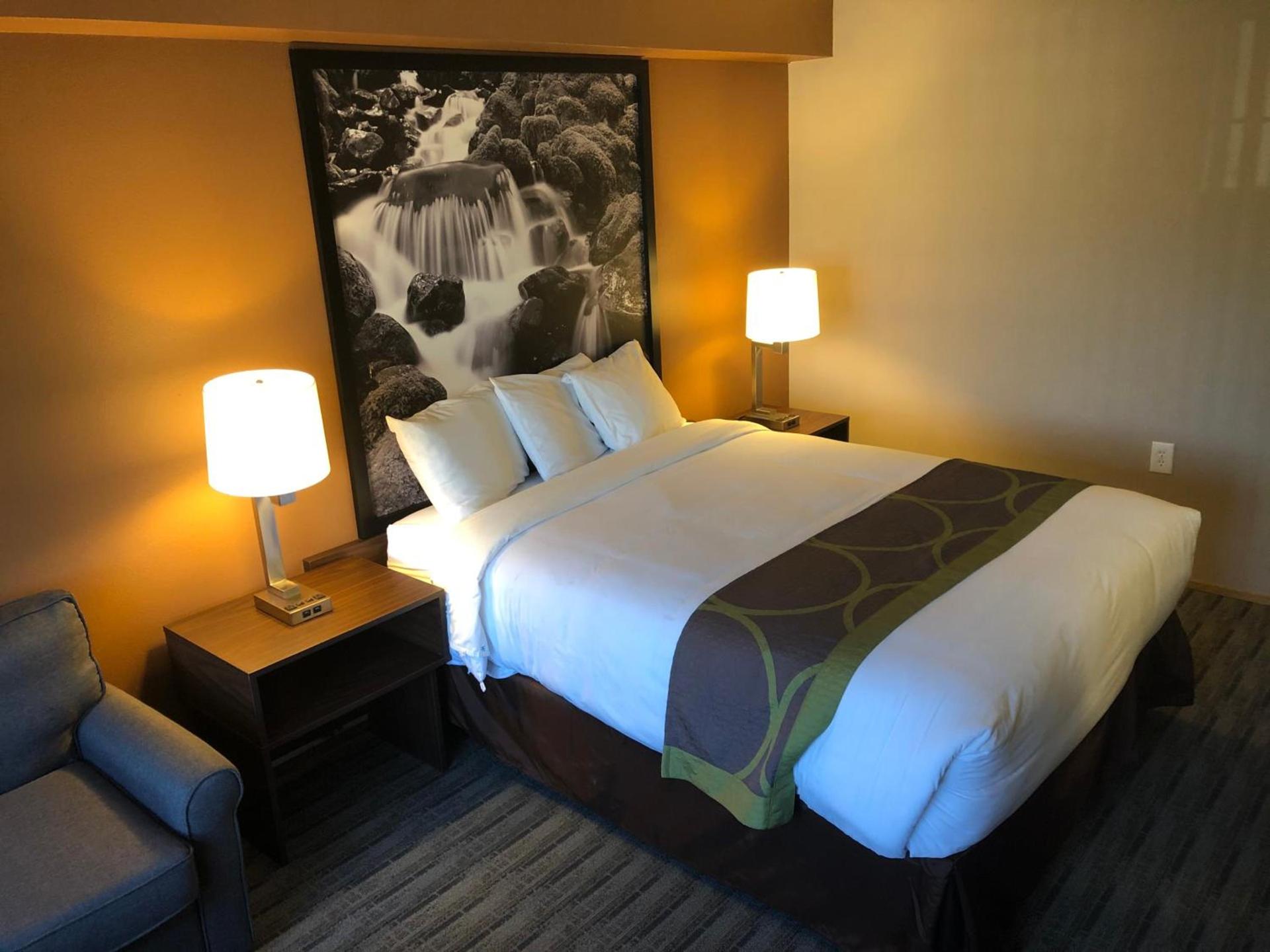 Super 8 by Wyndham Lynnwood photo 7