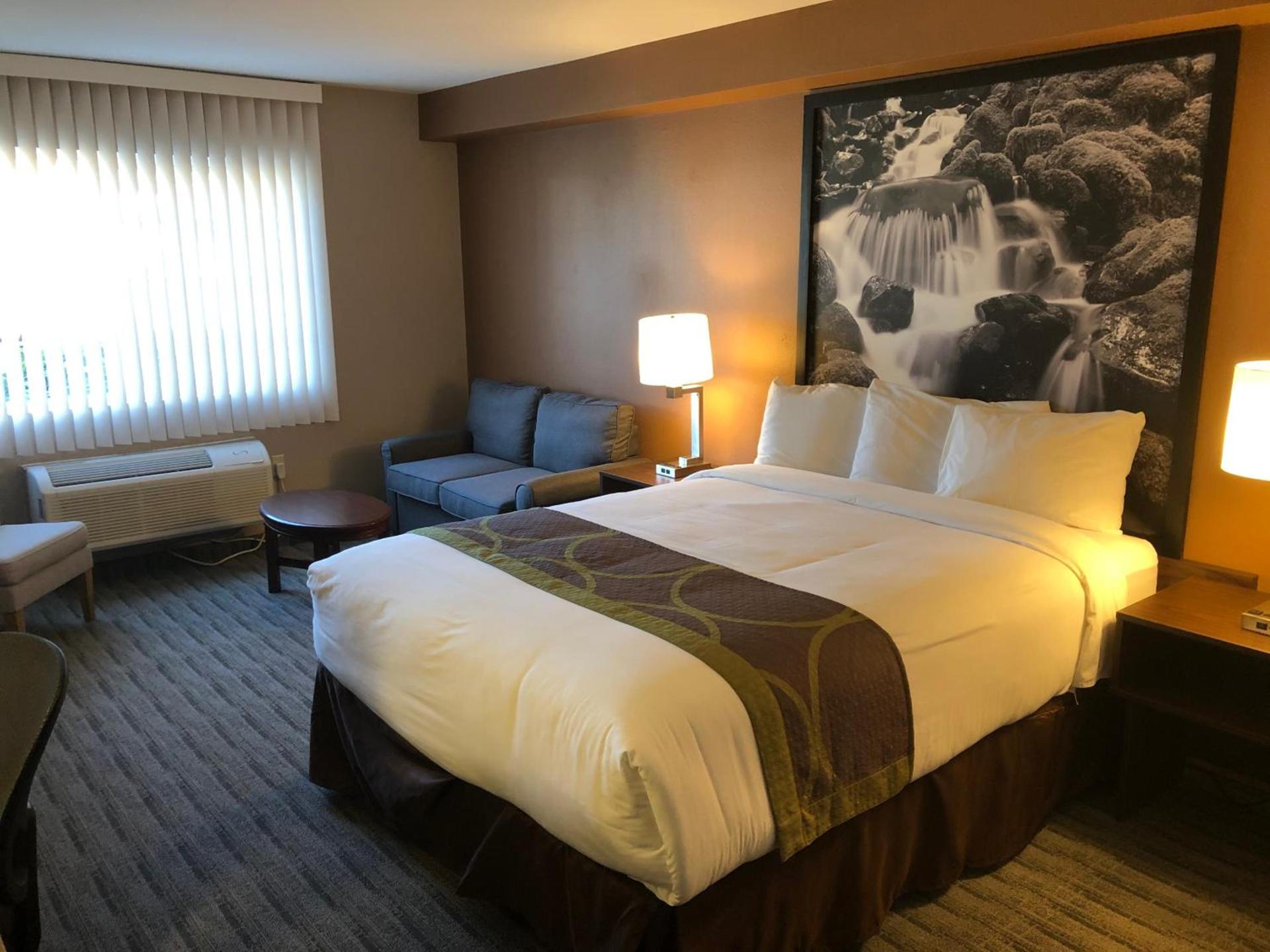 Super 8 by Wyndham Lynnwood photo 4