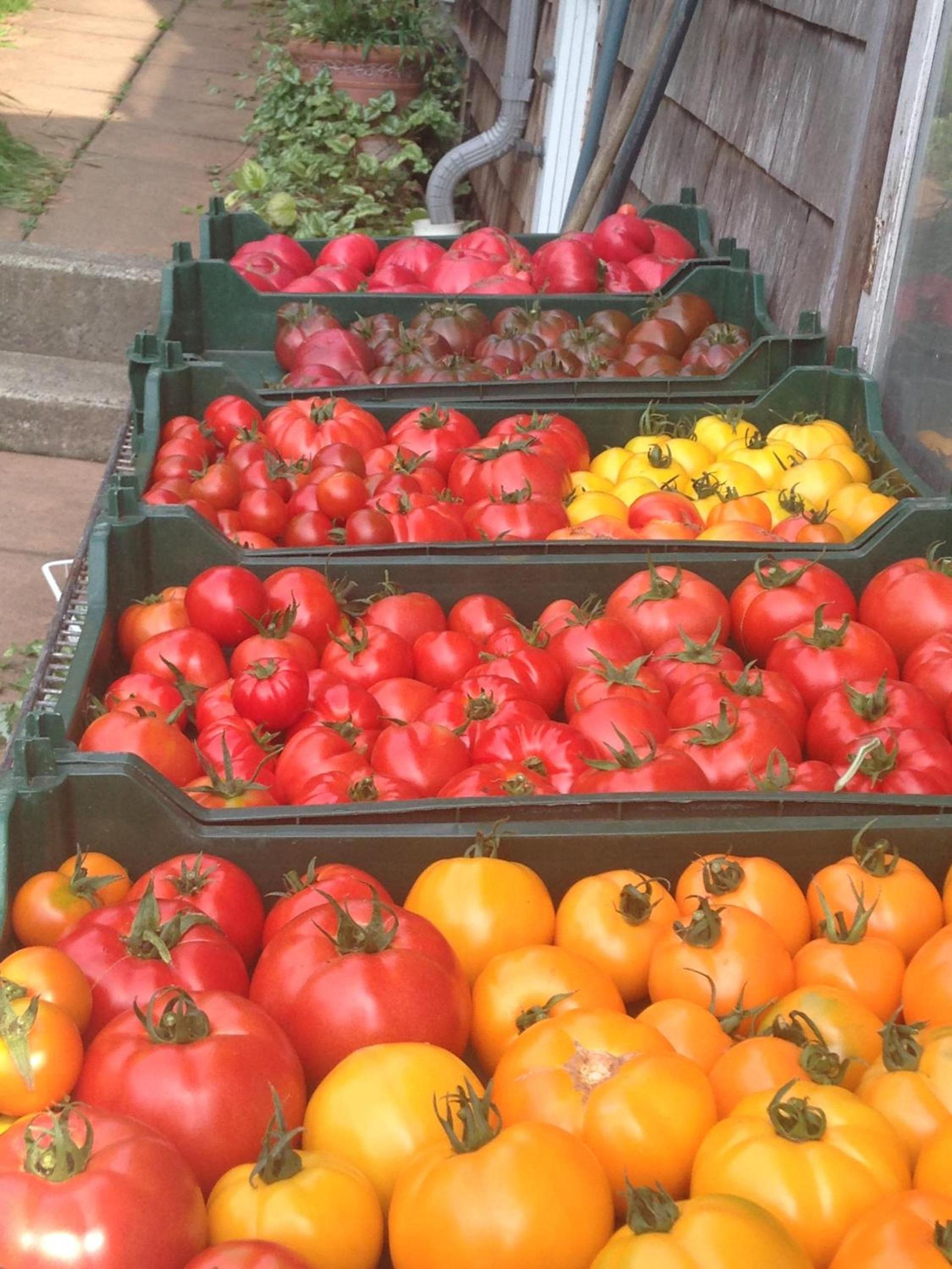 Nettles Farm photo 17