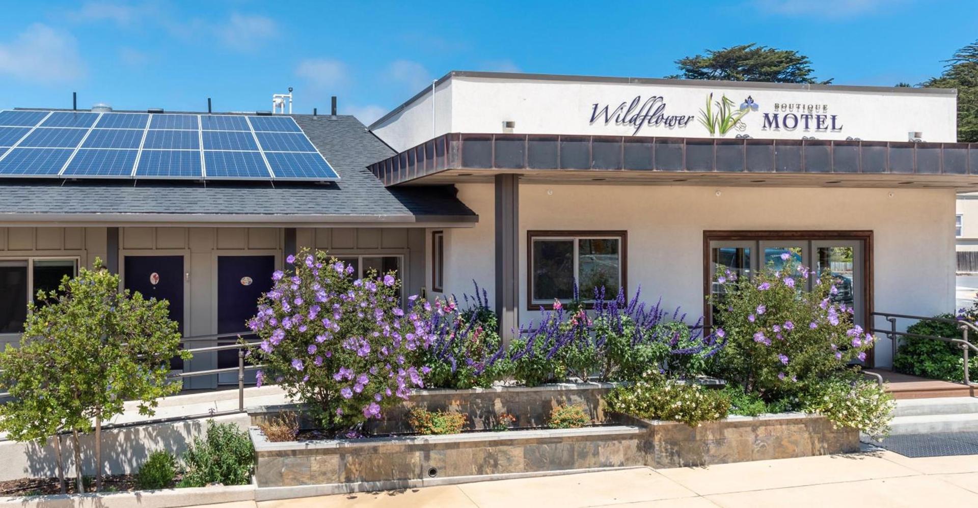 Wildflower Boutique Motel photo 1