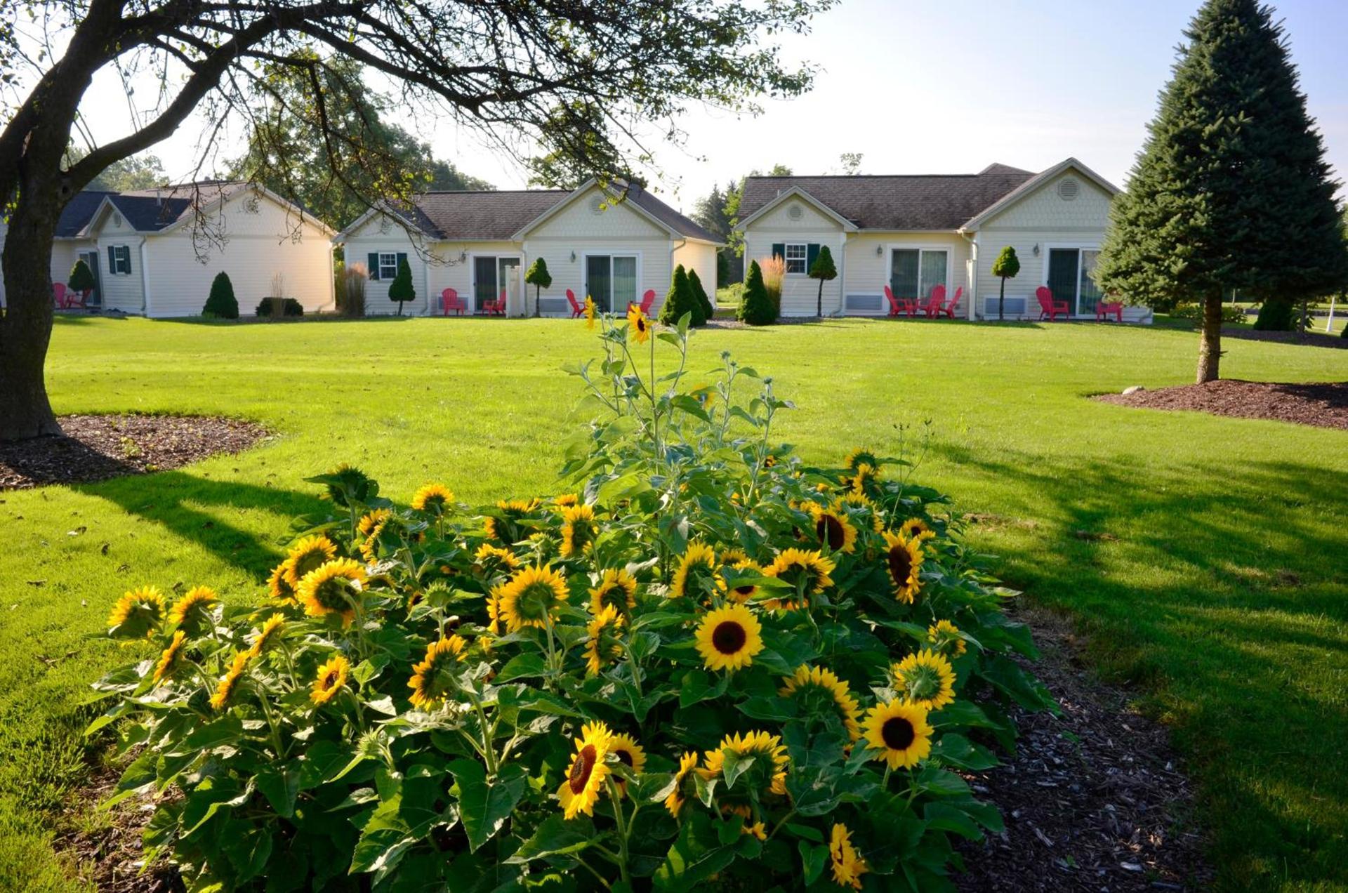 Skaneateles Suites photo 6
