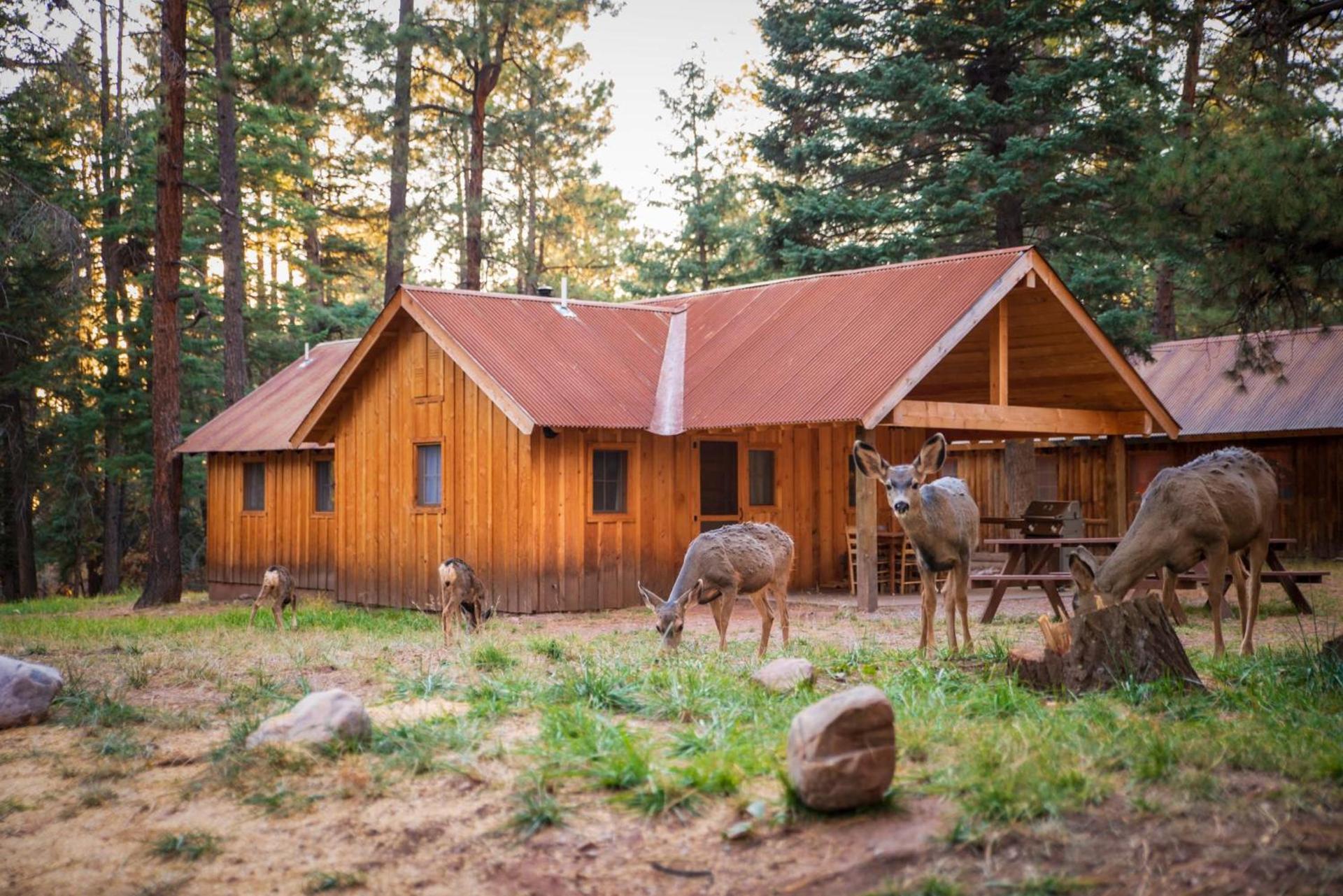 Corkins Lodge photo 77