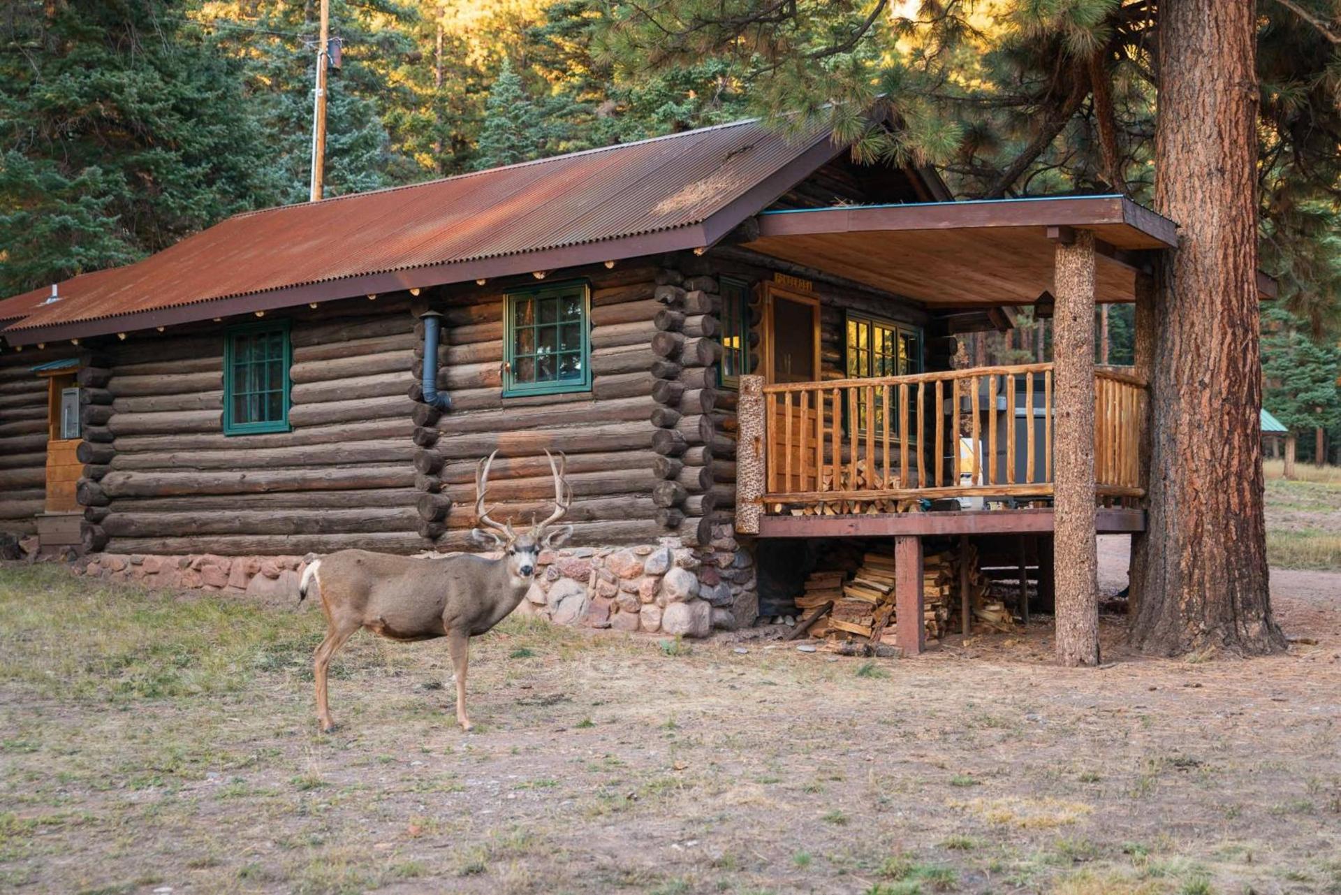 Corkins Lodge photo 63
