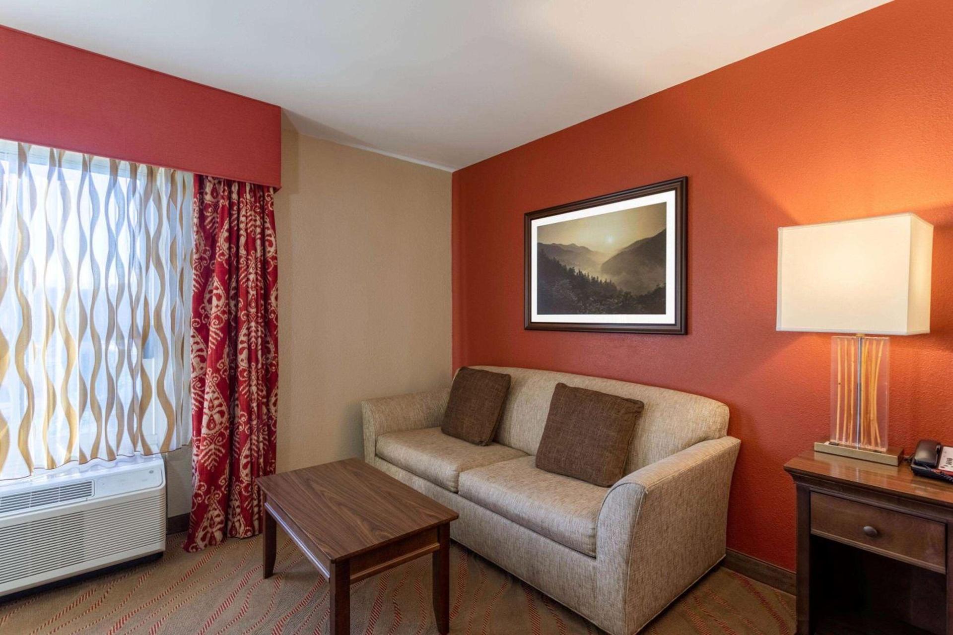 La Quinta by Wyndham Pigeon Forge photo 69