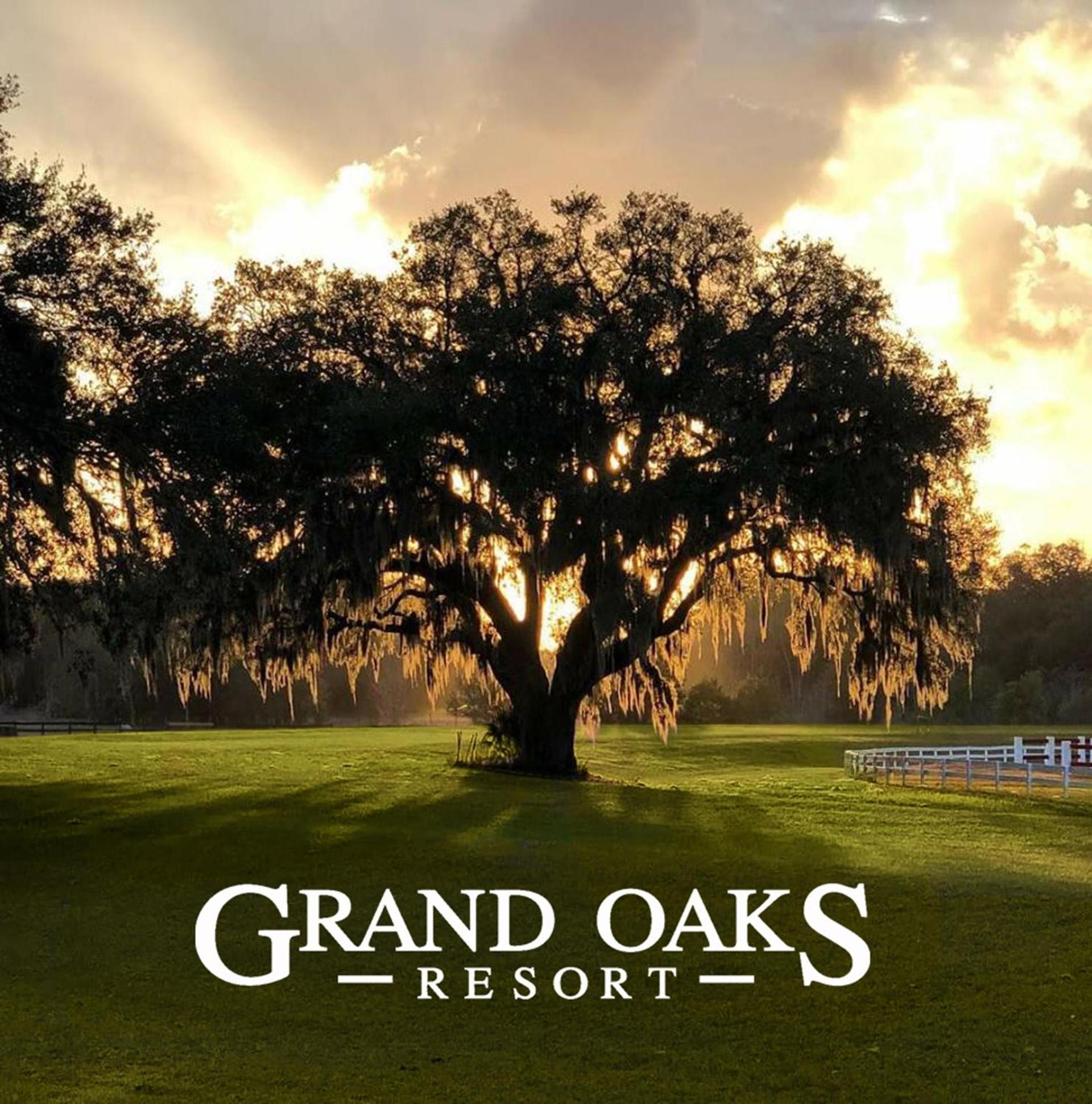 The Grand Oaks Resort photo 26