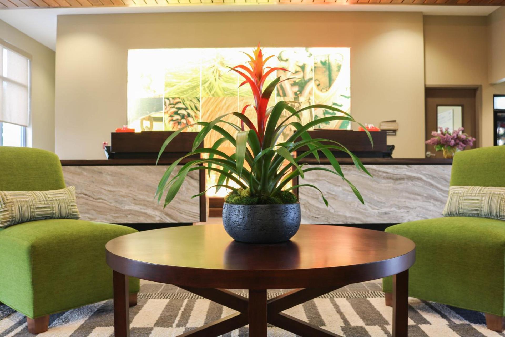 Hotel Indigo Traverse City by IHG photo 7