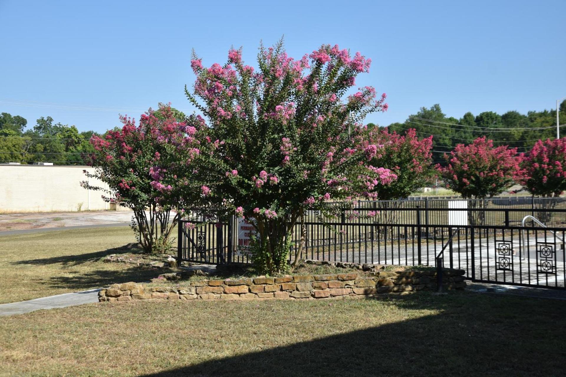 Homeplace Inn photo 77