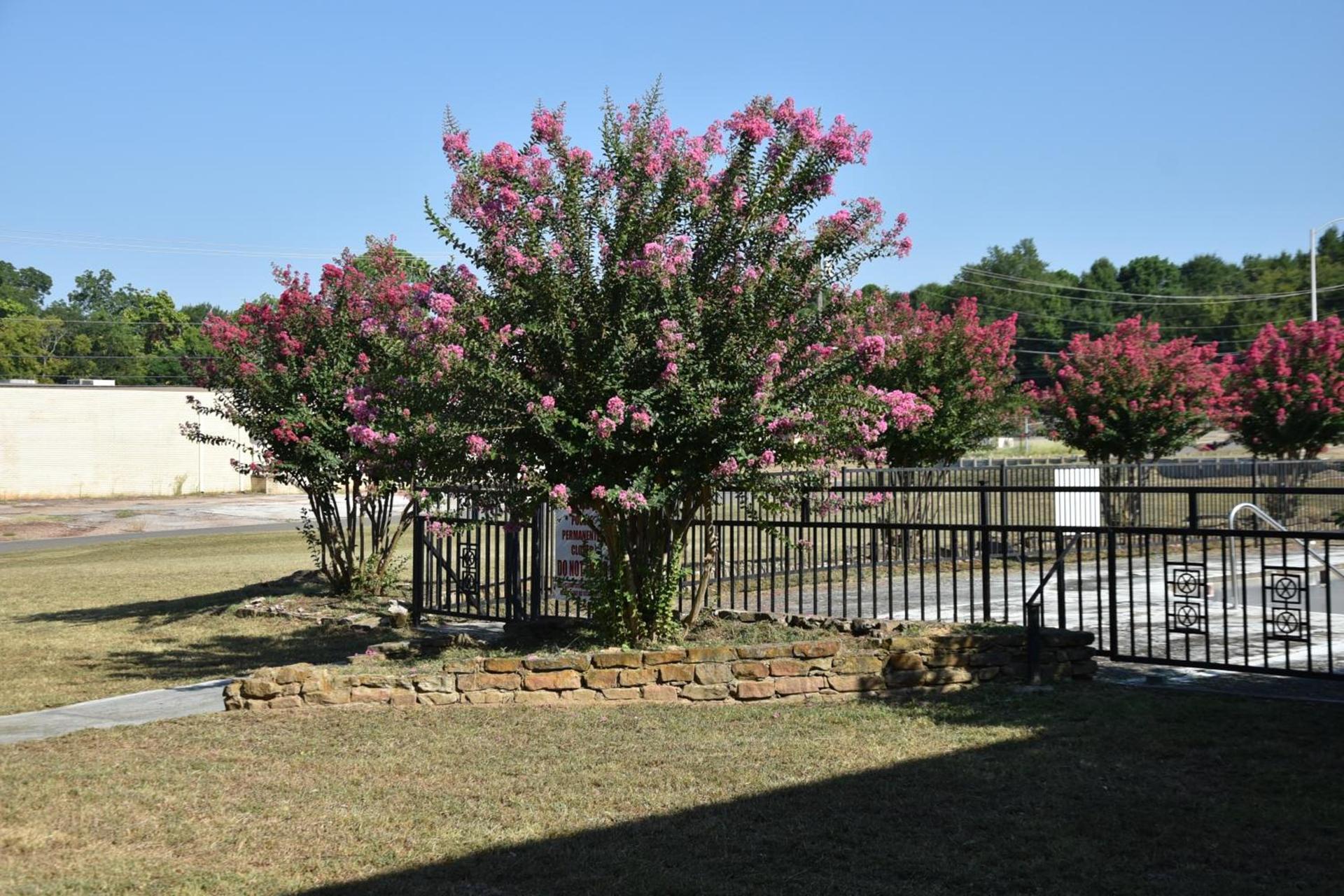 Homeplace Inn photo 76