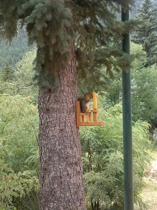 Green Mountain Falls Lodge photo 19