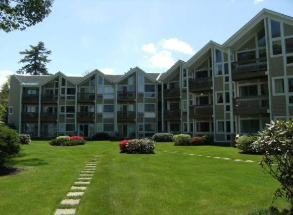 Misty Harbor Resort photo 23