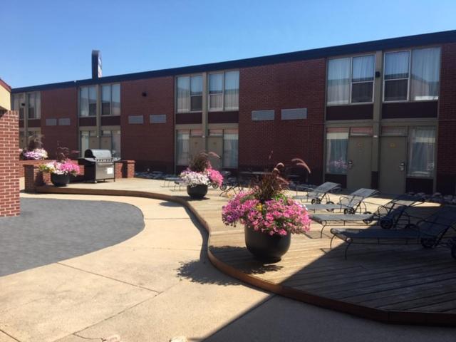 Boarders Inn & Suites by Cobblestone Hotels - Grand Island photo 3