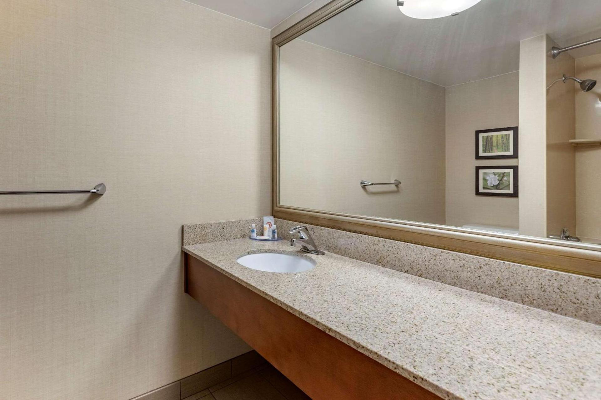 Comfort Inn Lansing West photo 8