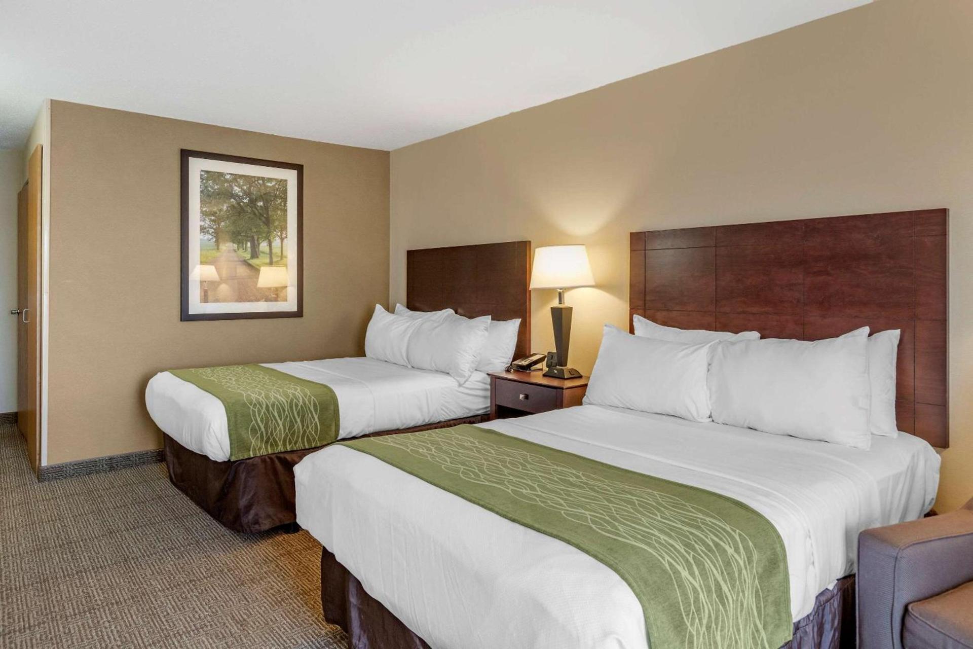 Comfort Inn Lansing West photo 18