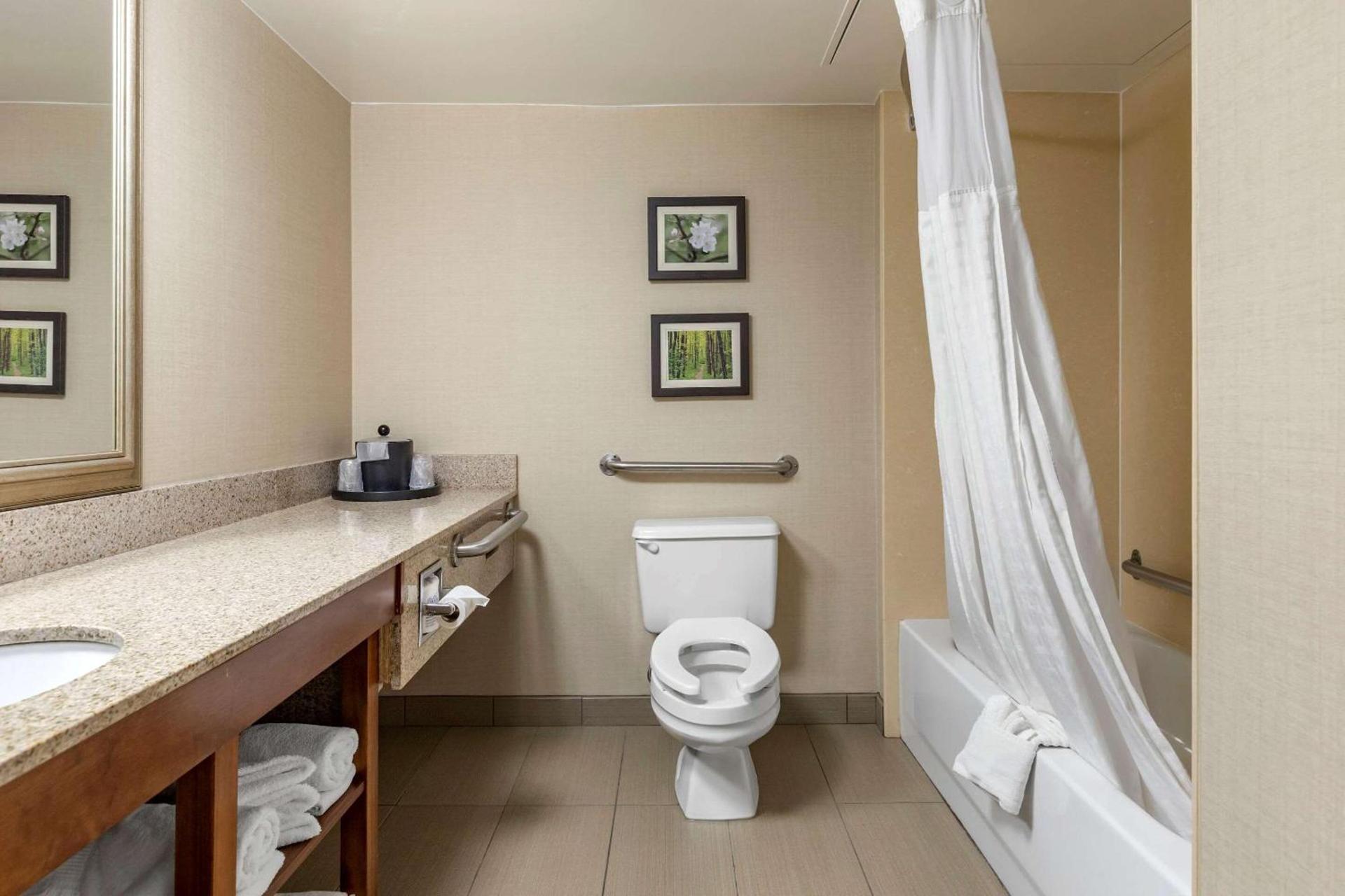 Comfort Inn Lansing West photo 19