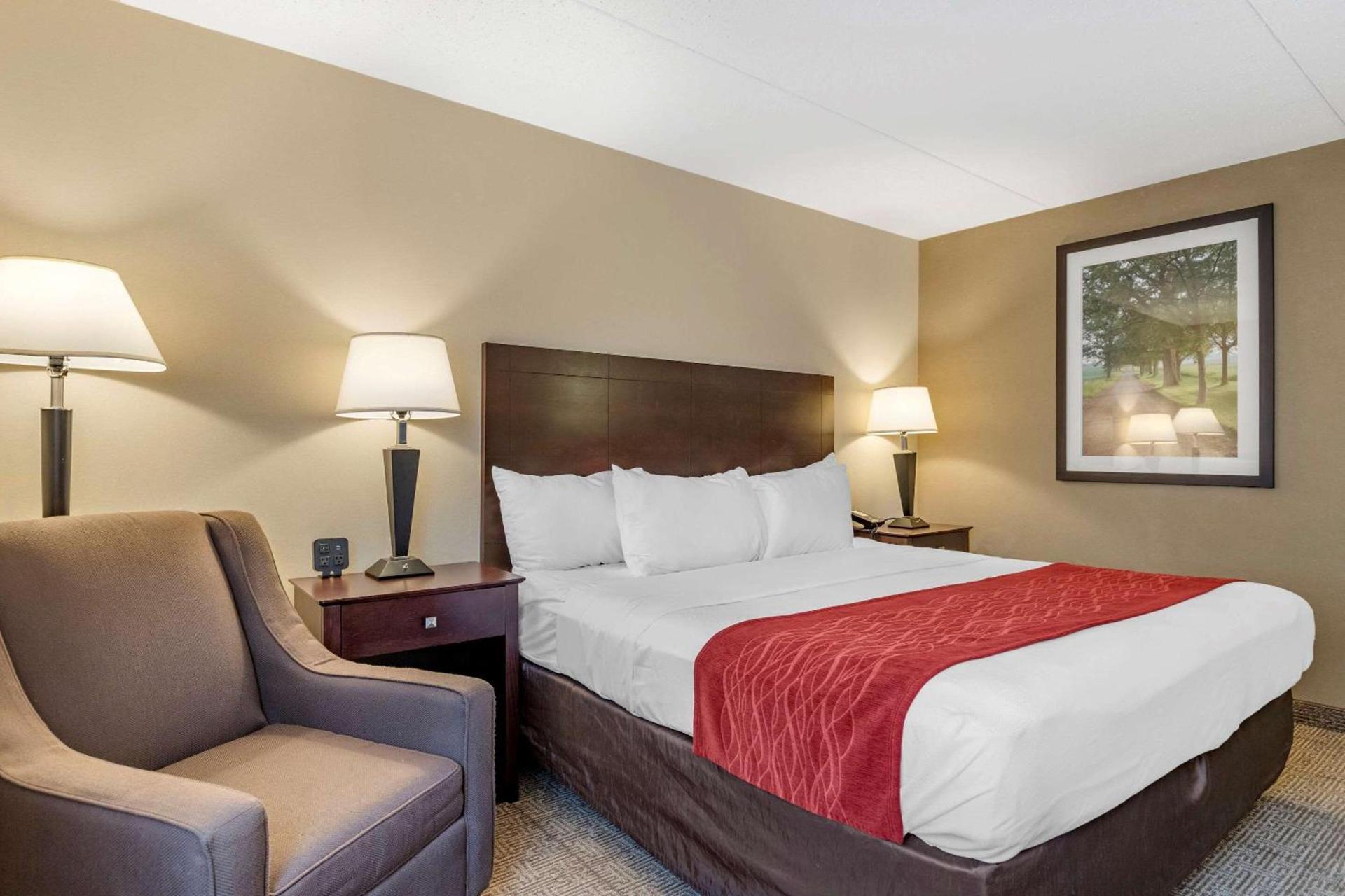 Comfort Inn Lansing West photo 23
