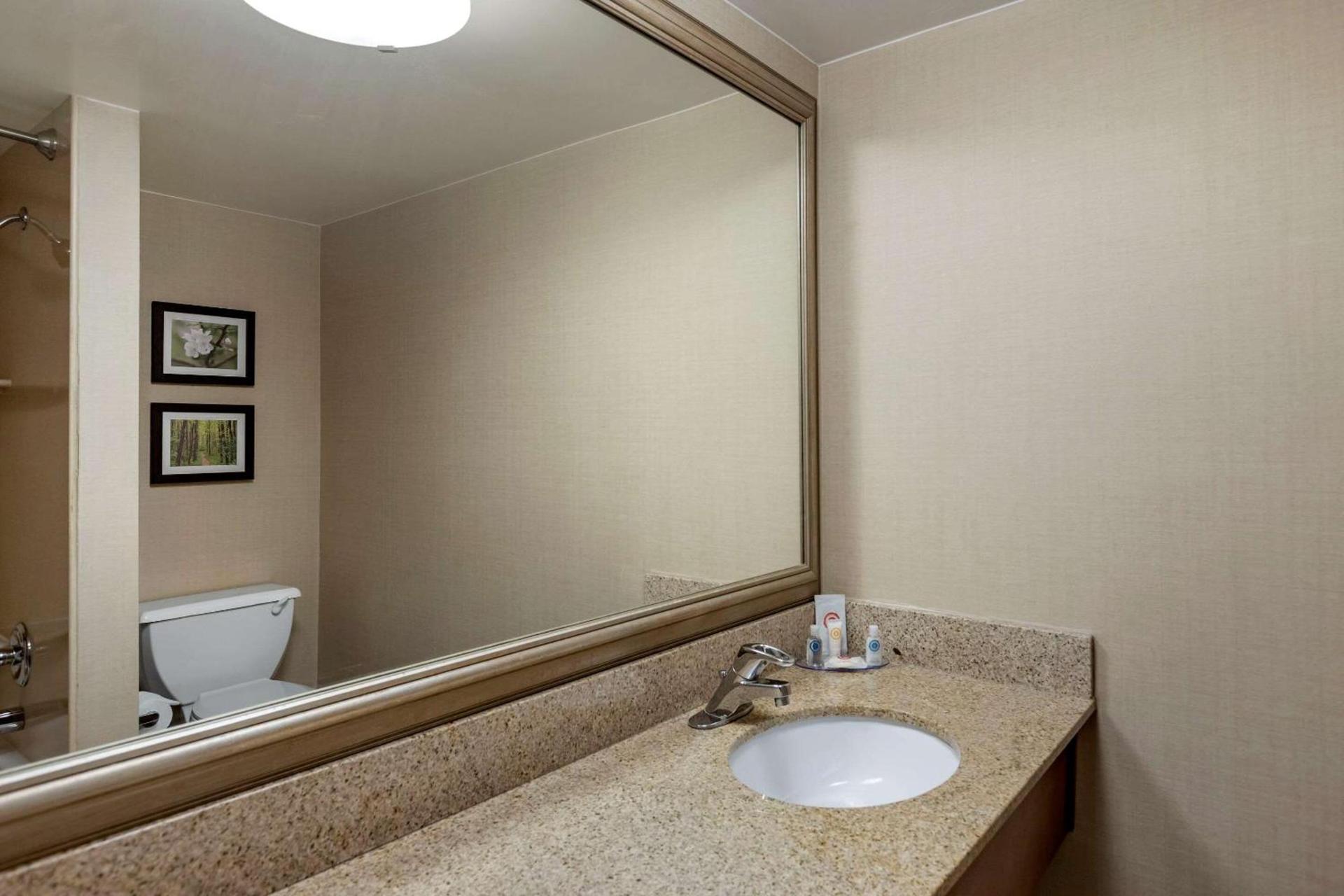 Comfort Inn Lansing West photo 26