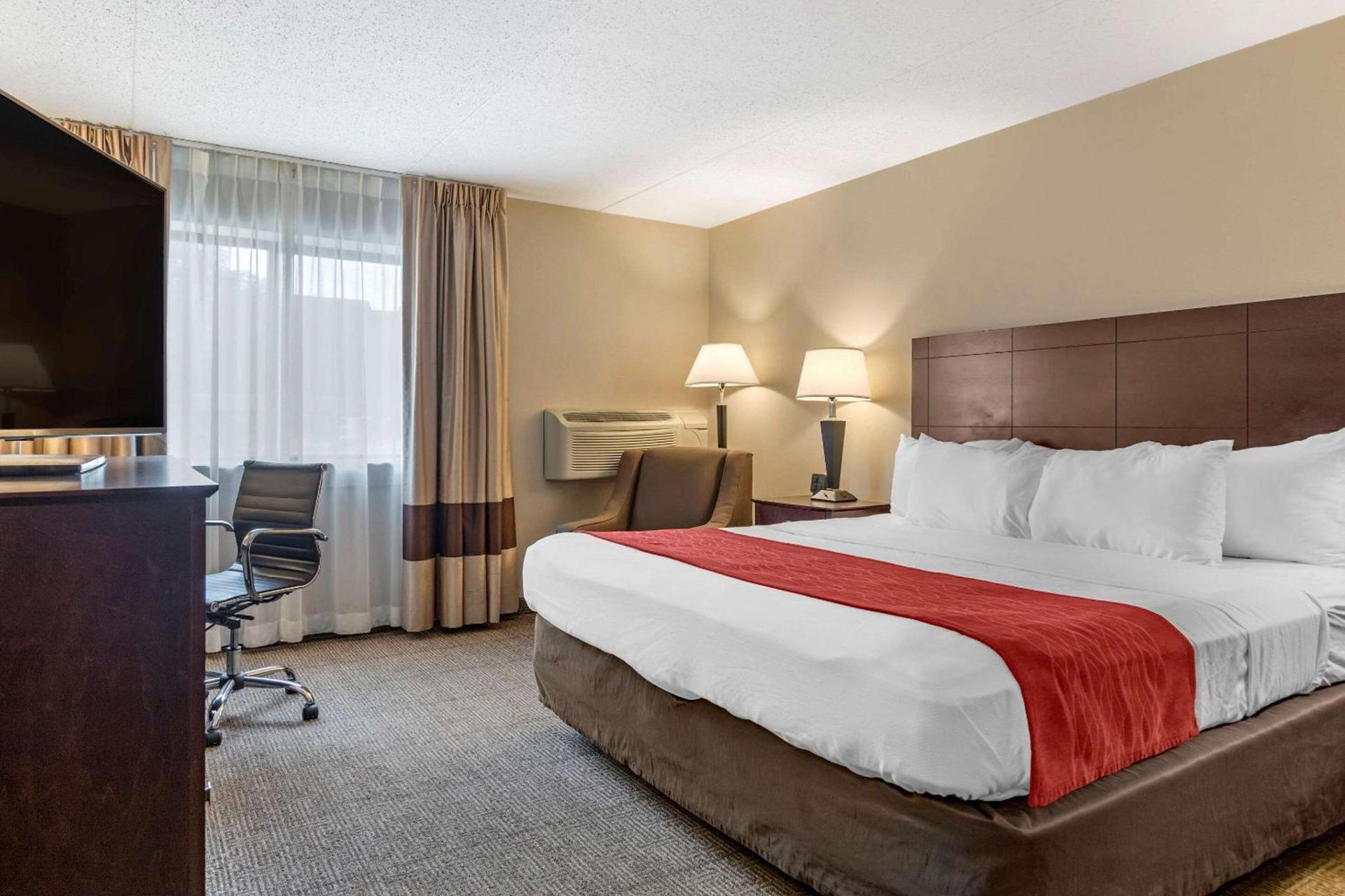Comfort Inn Lansing West photo 25