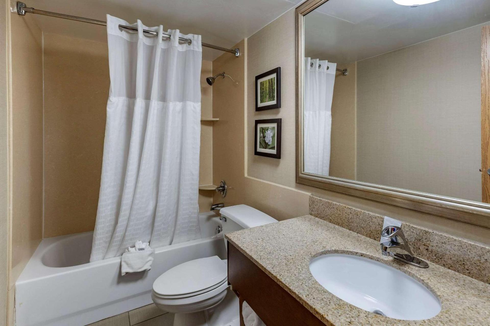 Comfort Inn Lansing West photo 30