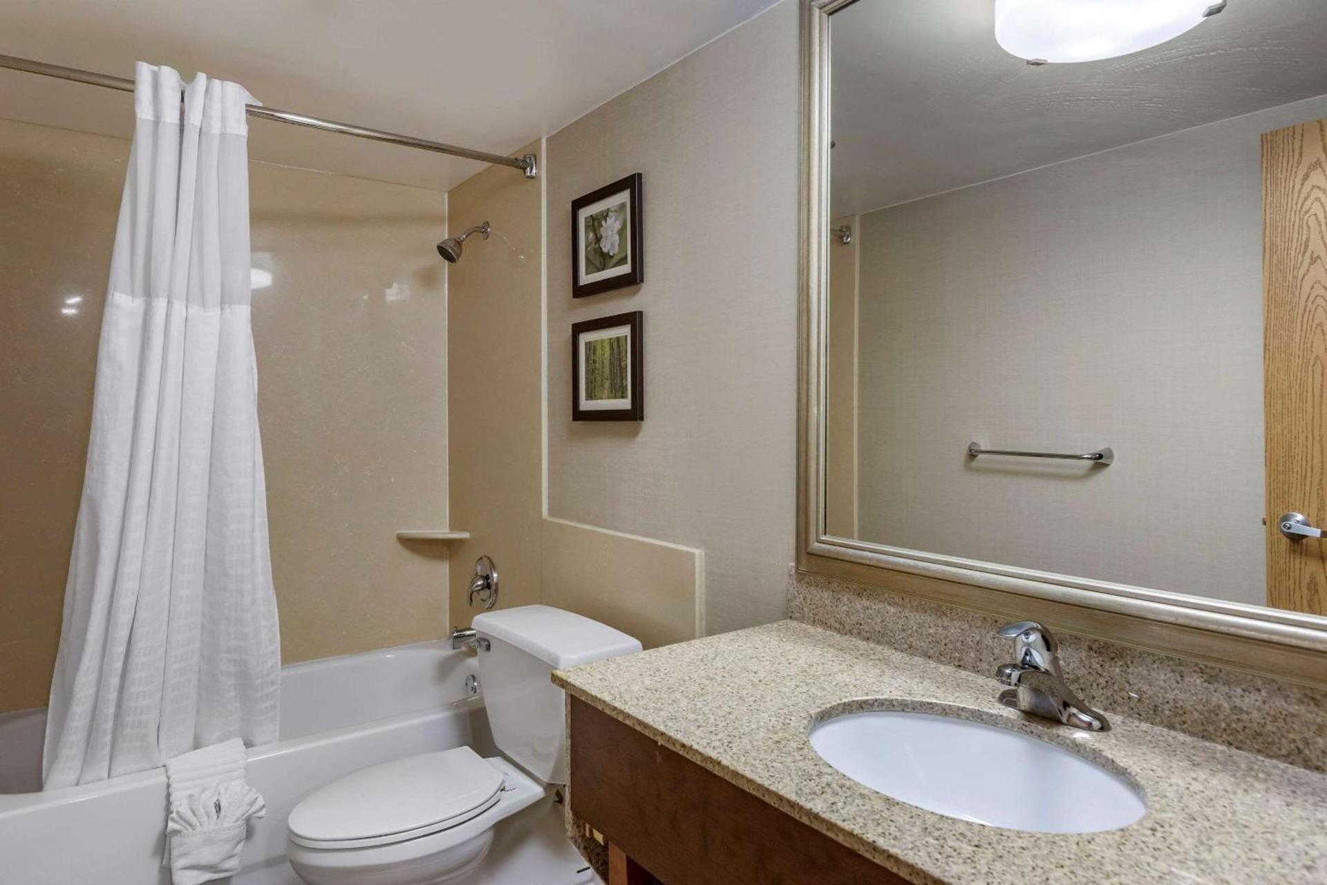 Comfort Inn Lansing West photo 33