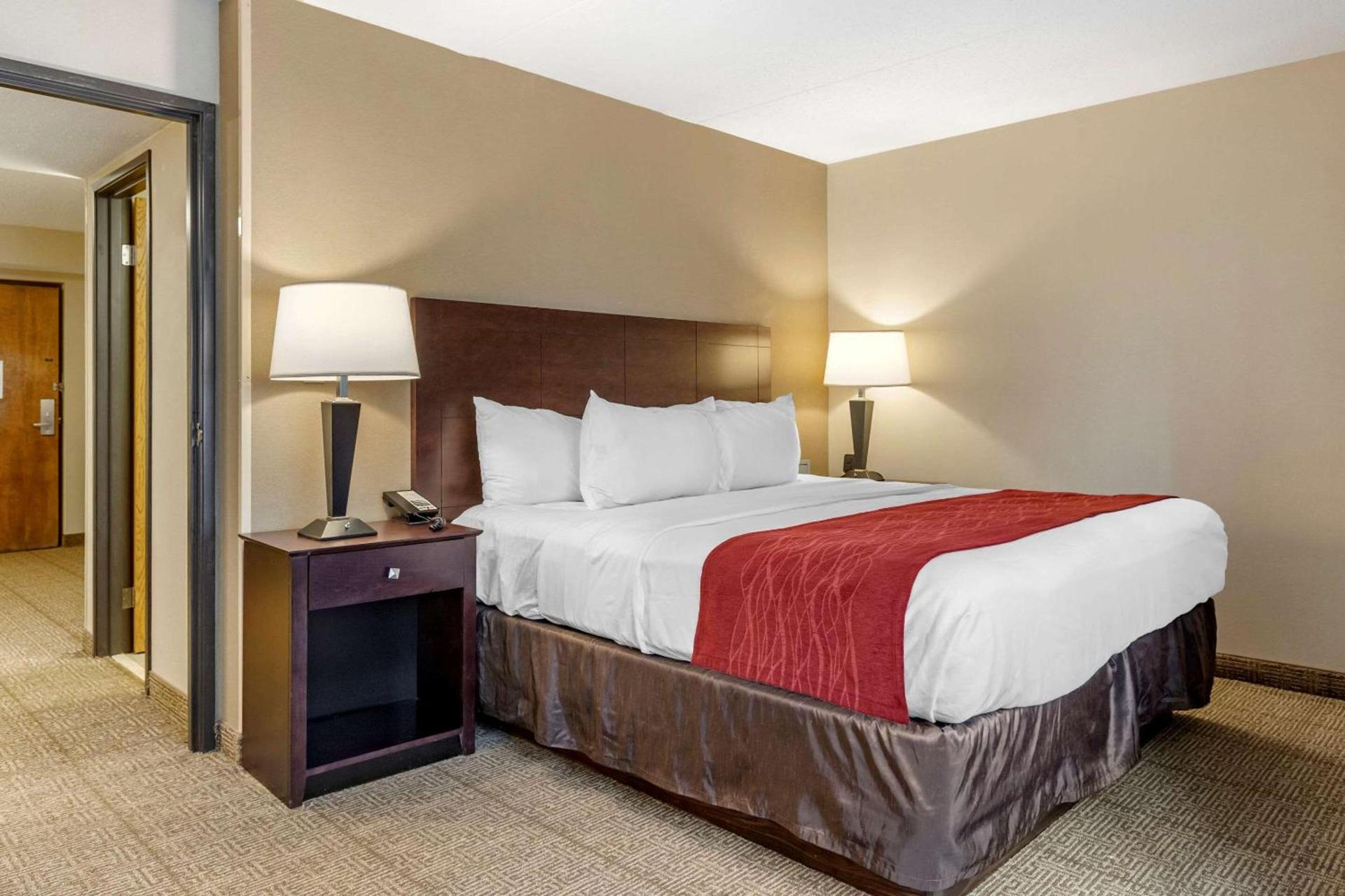 Comfort Inn Lansing West photo 34