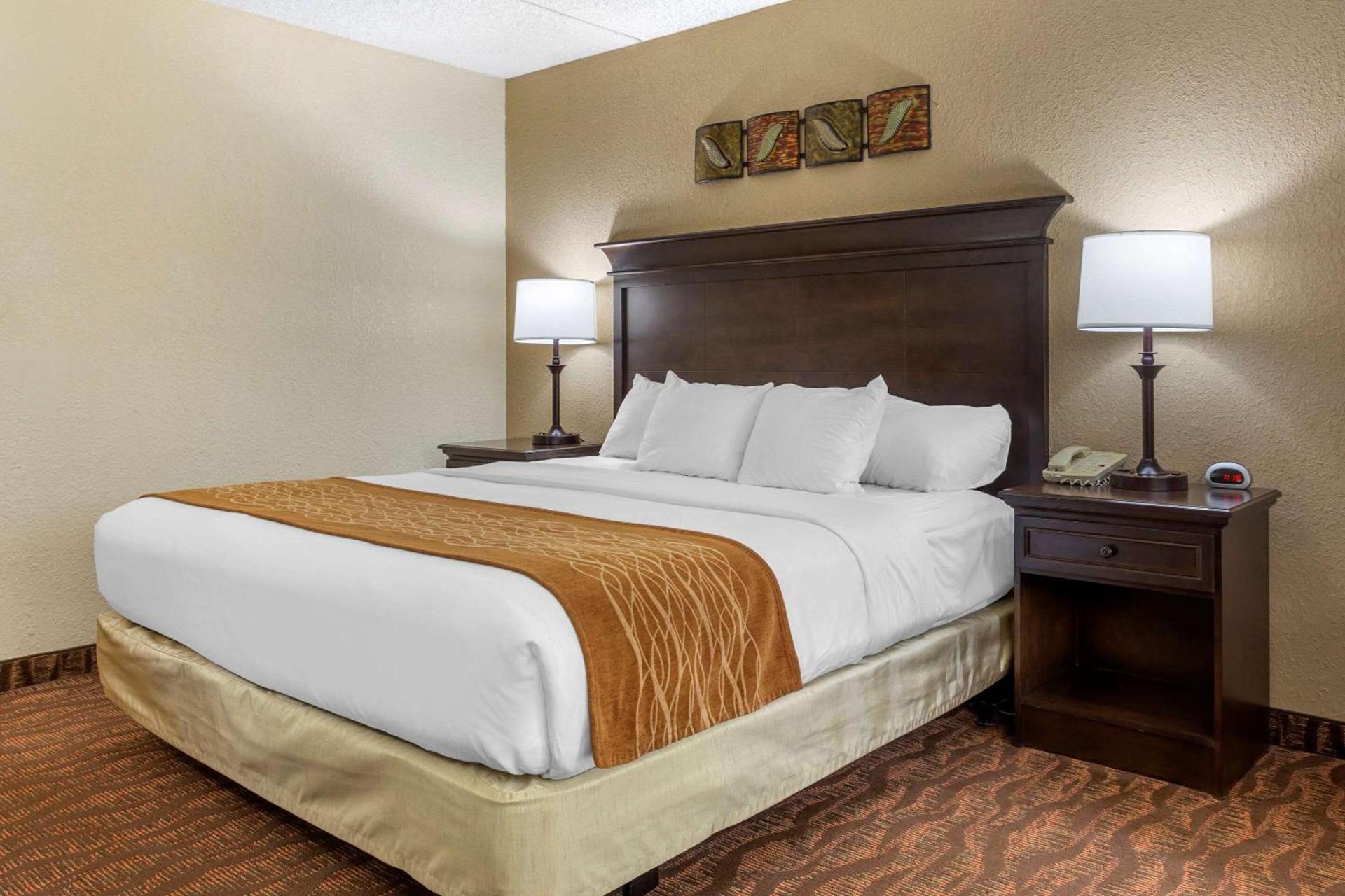 Comfort Inn at Thousand Hills photo 43
