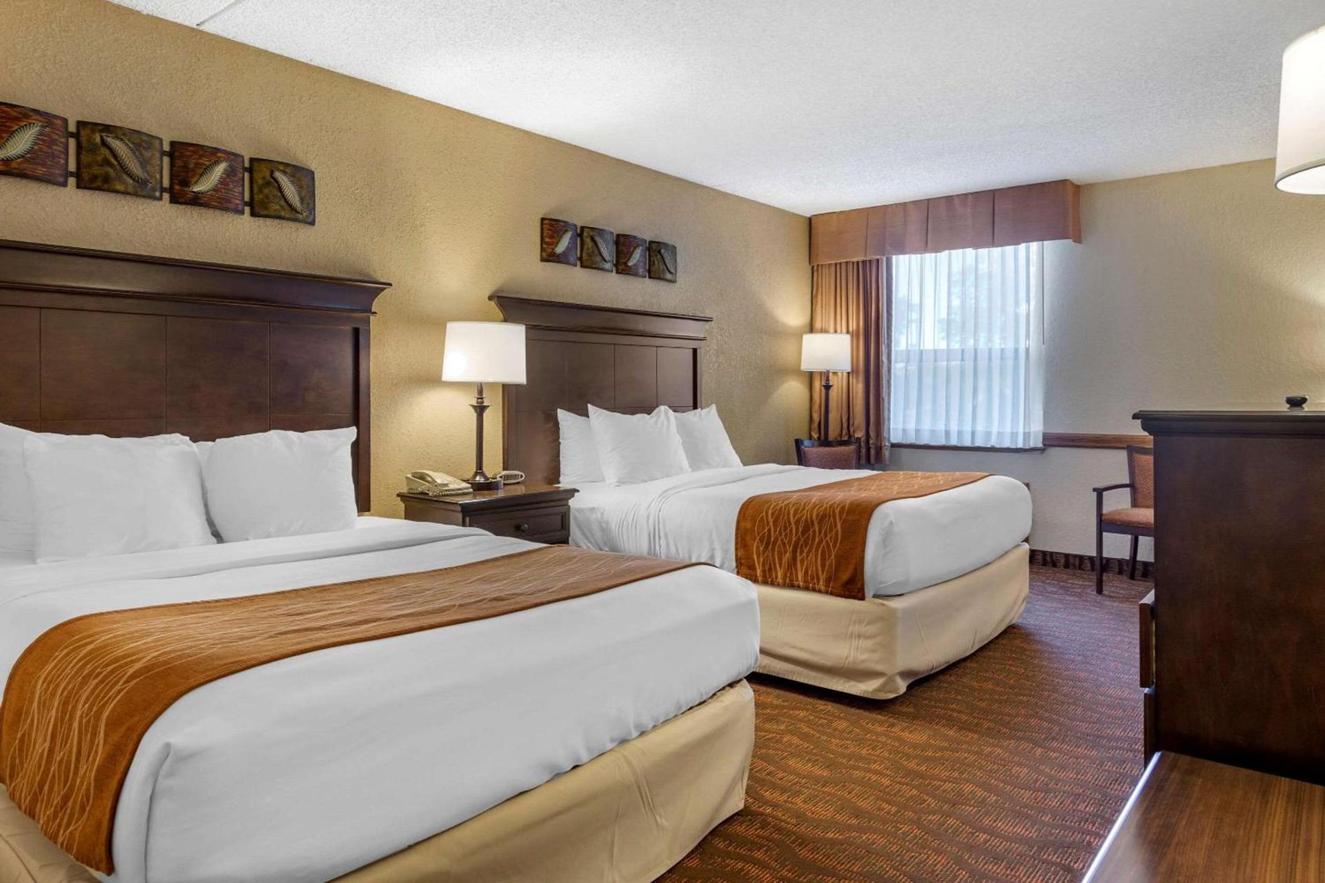 Comfort Inn at Thousand Hills photo 36