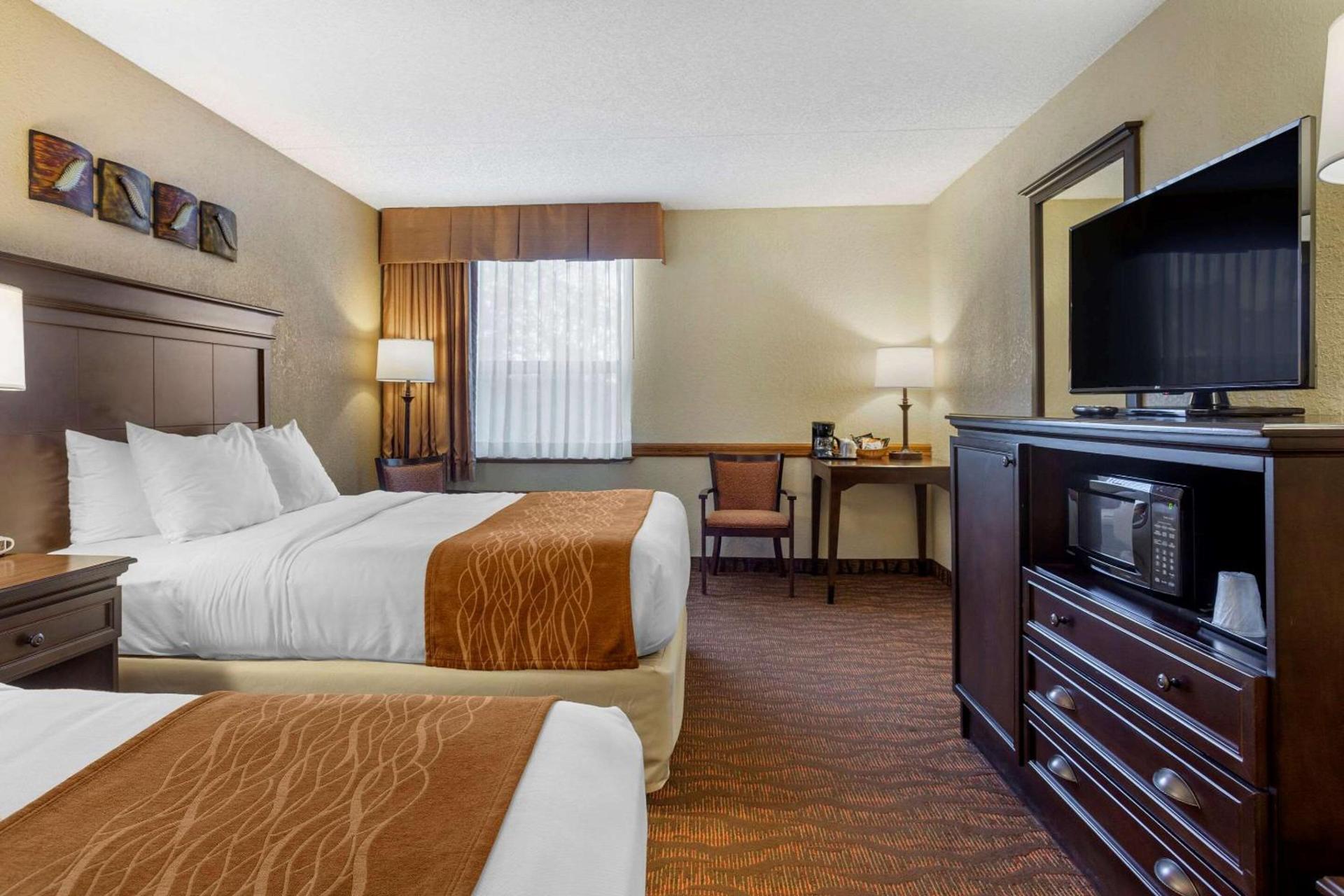 Comfort Inn at Thousand Hills photo 30