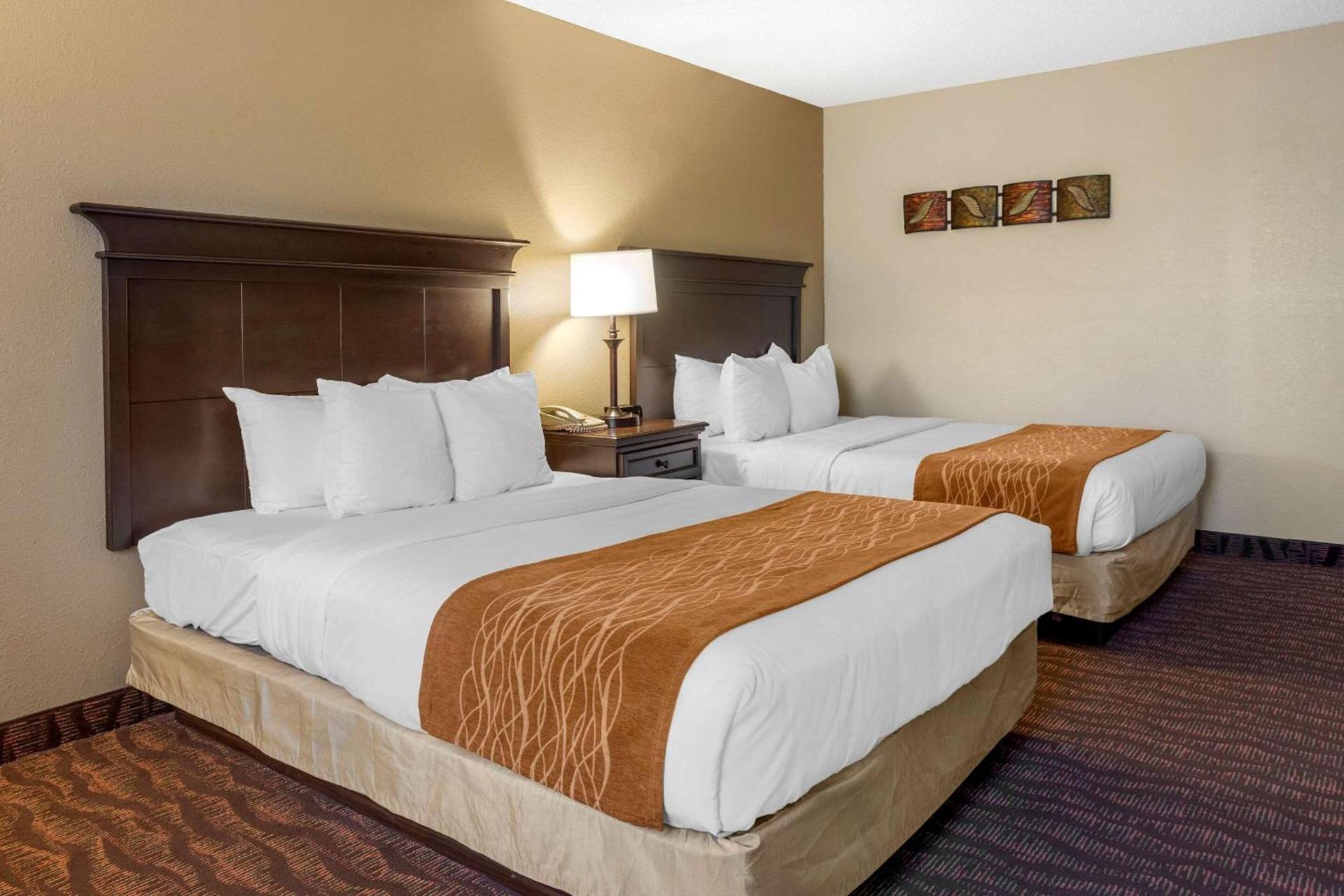 Comfort Inn at Thousand Hills photo 18