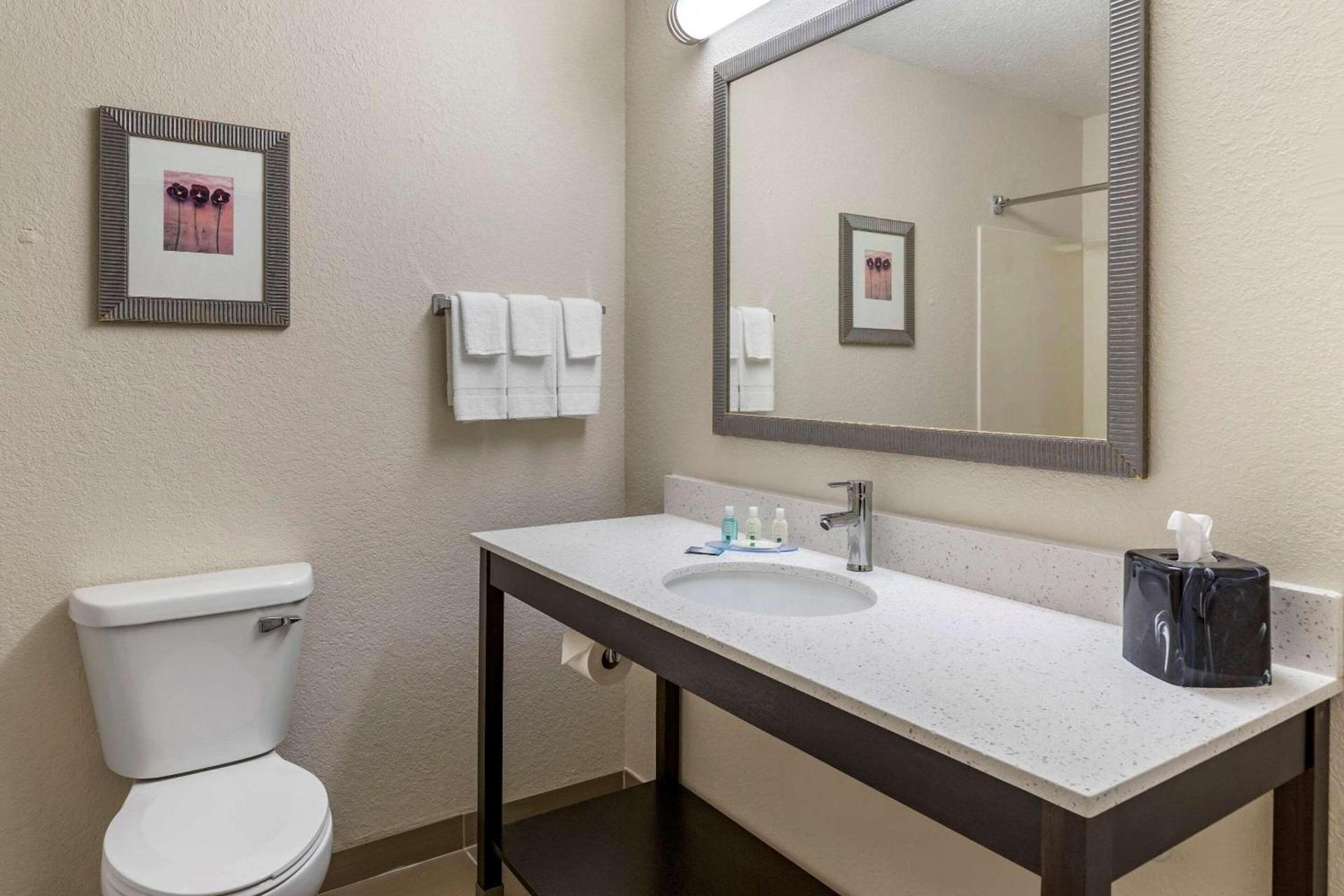 Quality Inn & Suites photo 19