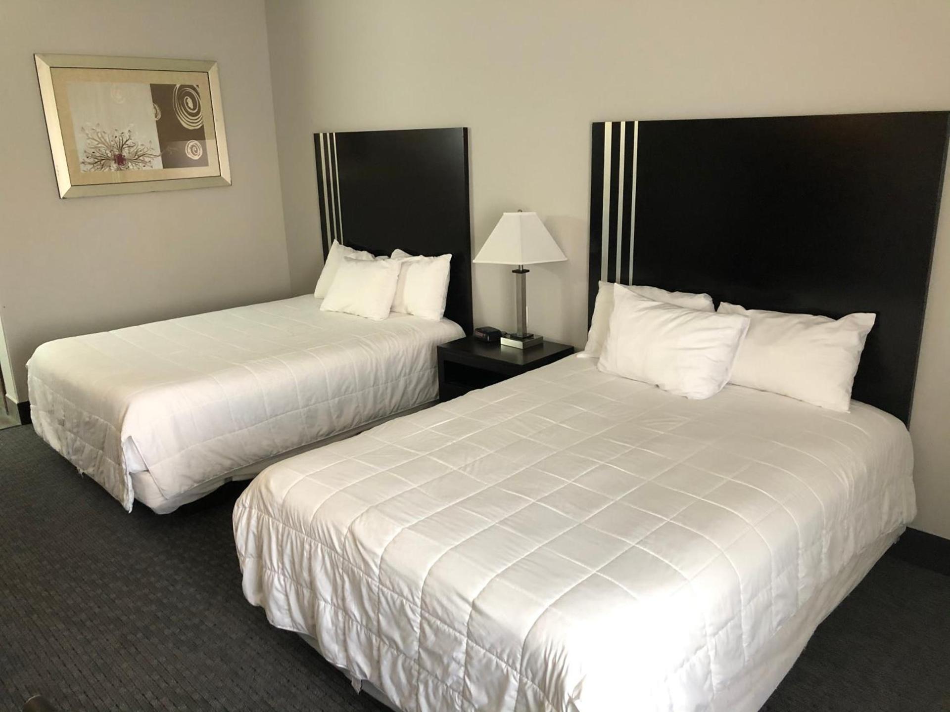 Lea County Inn photo 22