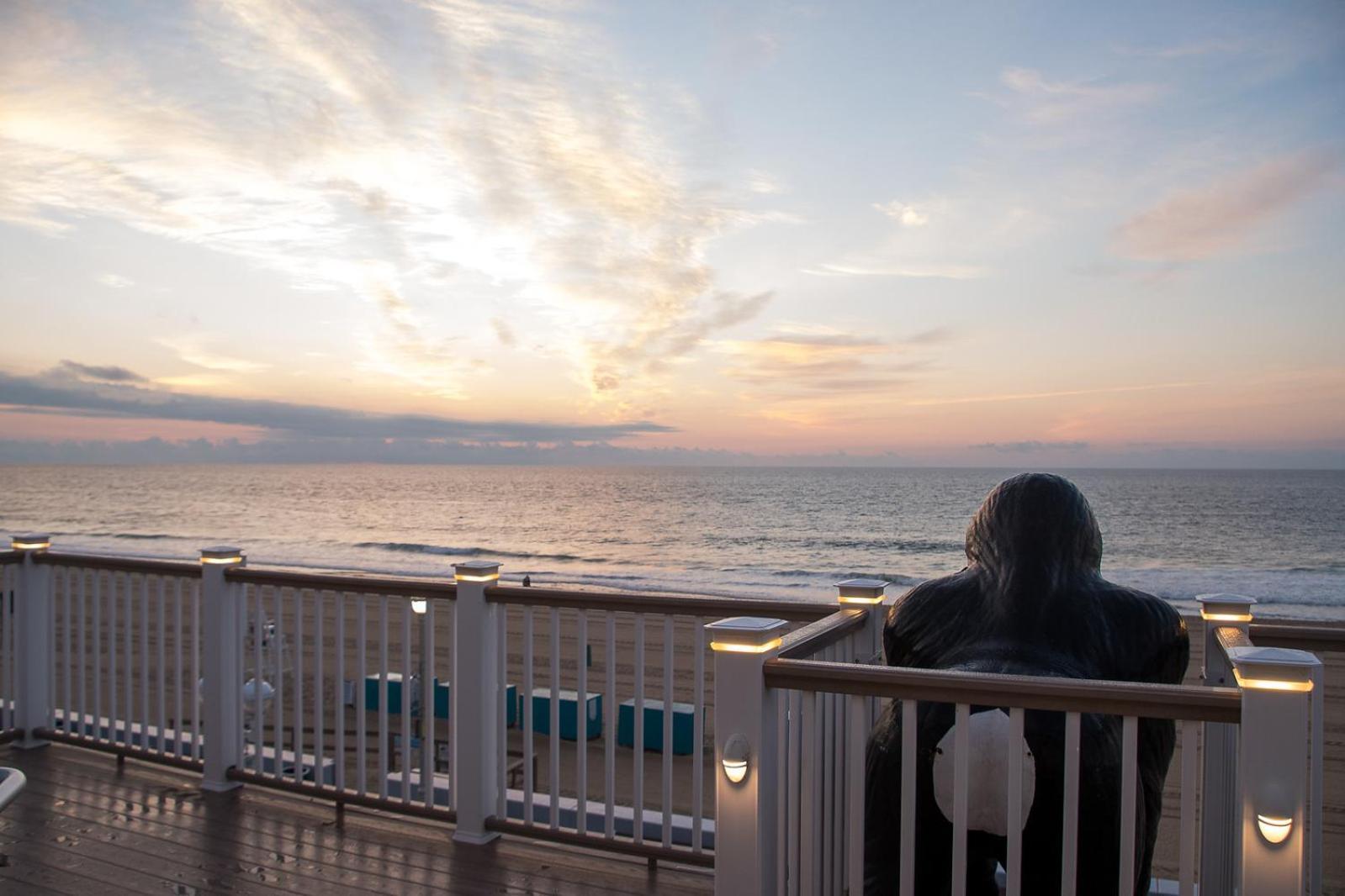 Safari Hotel Boardwalk photo 7