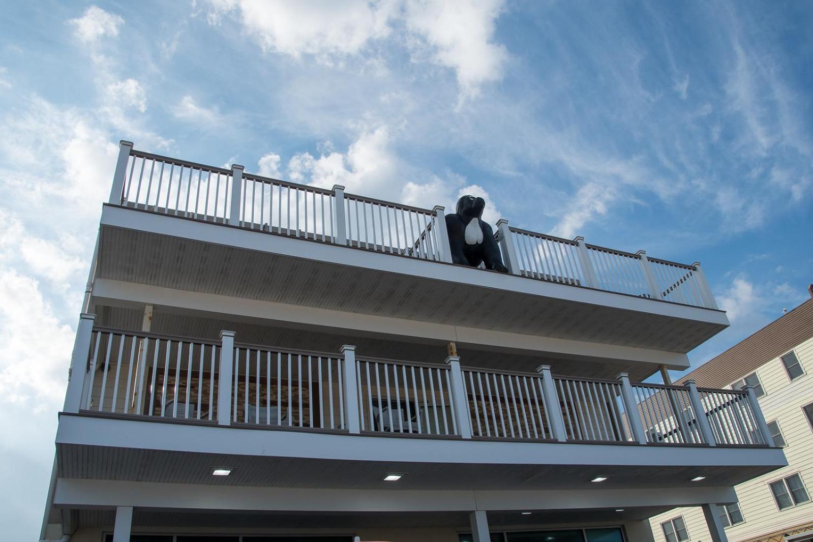 Safari Hotel Boardwalk photo 6