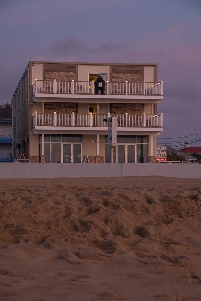 Safari Hotel Boardwalk photo 5