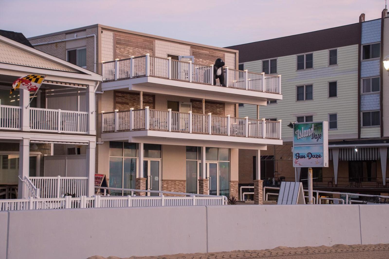 Safari Hotel Boardwalk photo 4