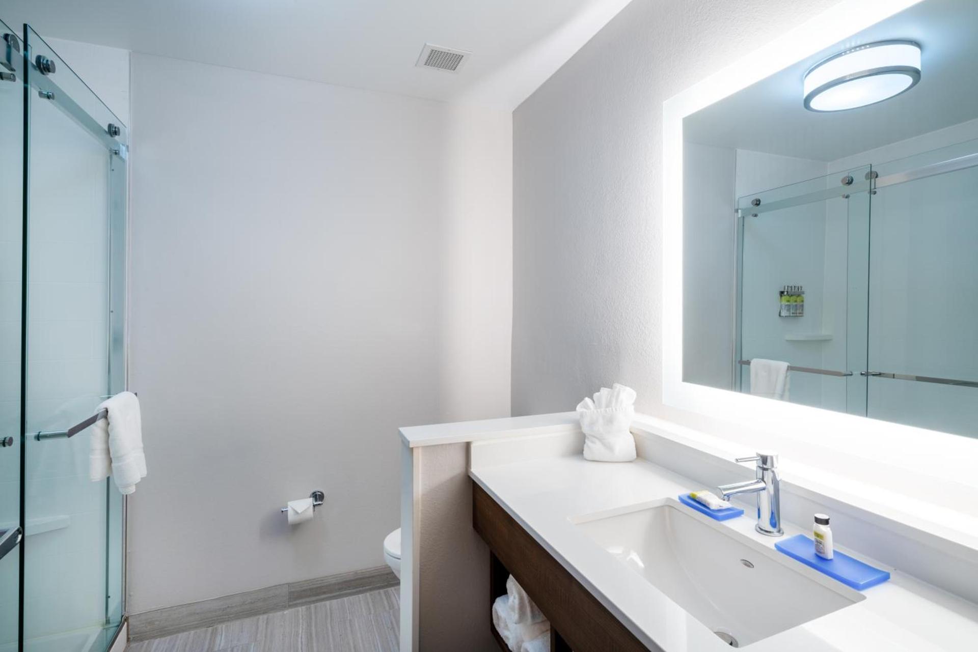 Holiday Inn Express & Suites Atlanta Airport NE - Hapeville by IHG photo 2