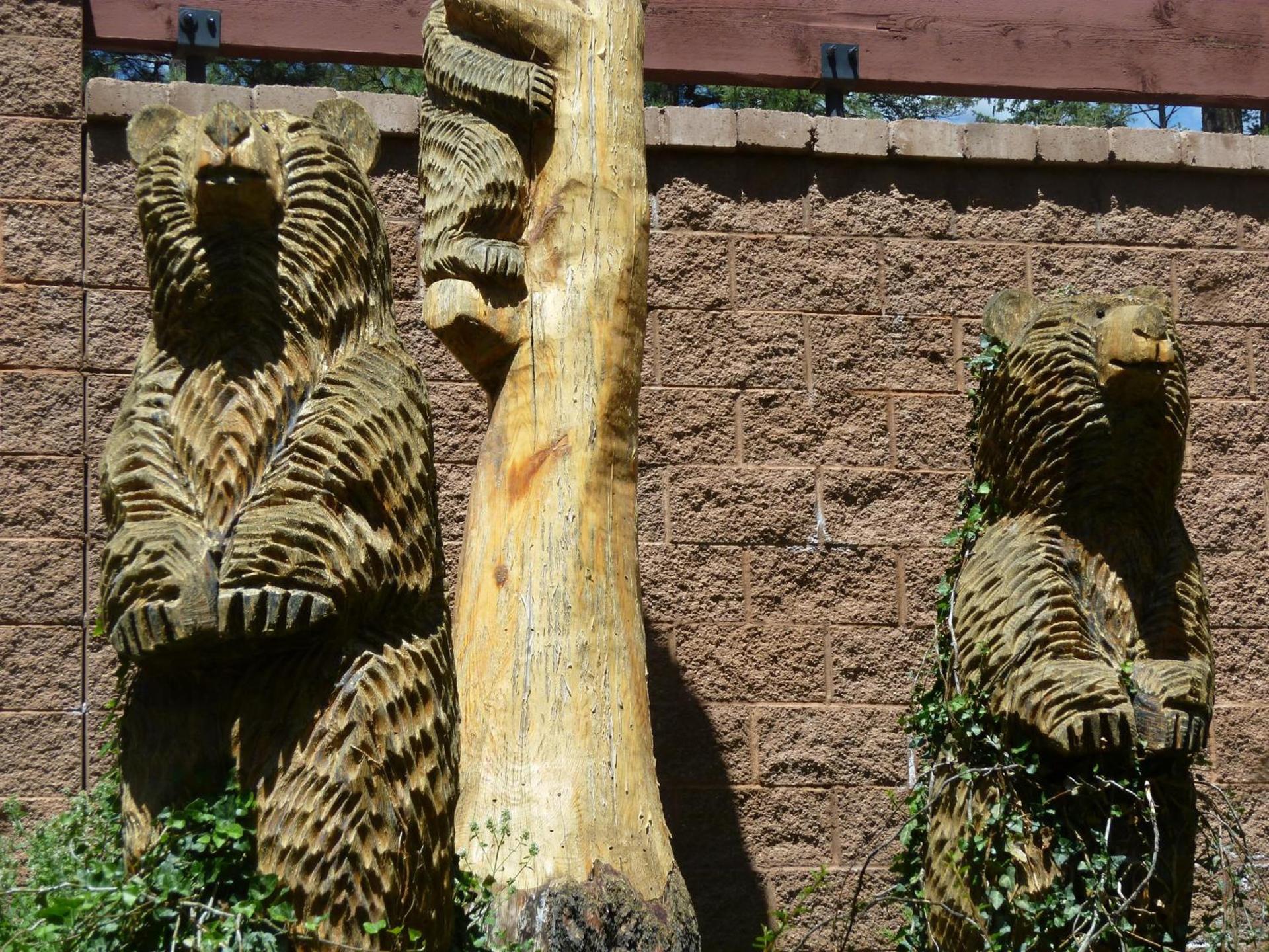 Ruidoso River Resort Condos photo 37