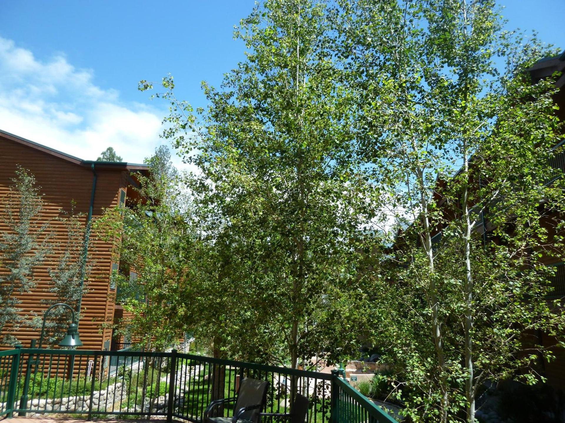 Ruidoso River Resort Condos photo 47