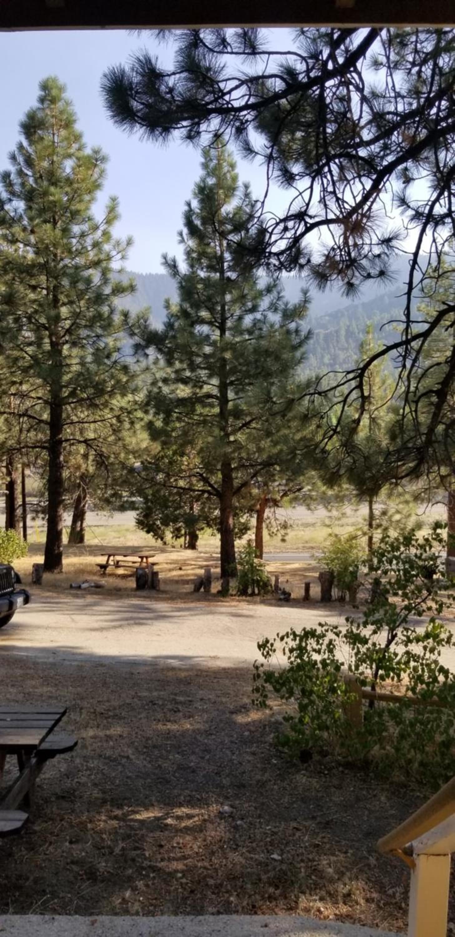 Mountain View Cabins photo 61
