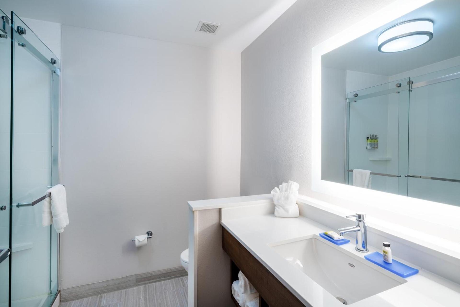 Holiday Inn Express & Suites Atlanta Airport NE - Hapeville by IHG photo 31