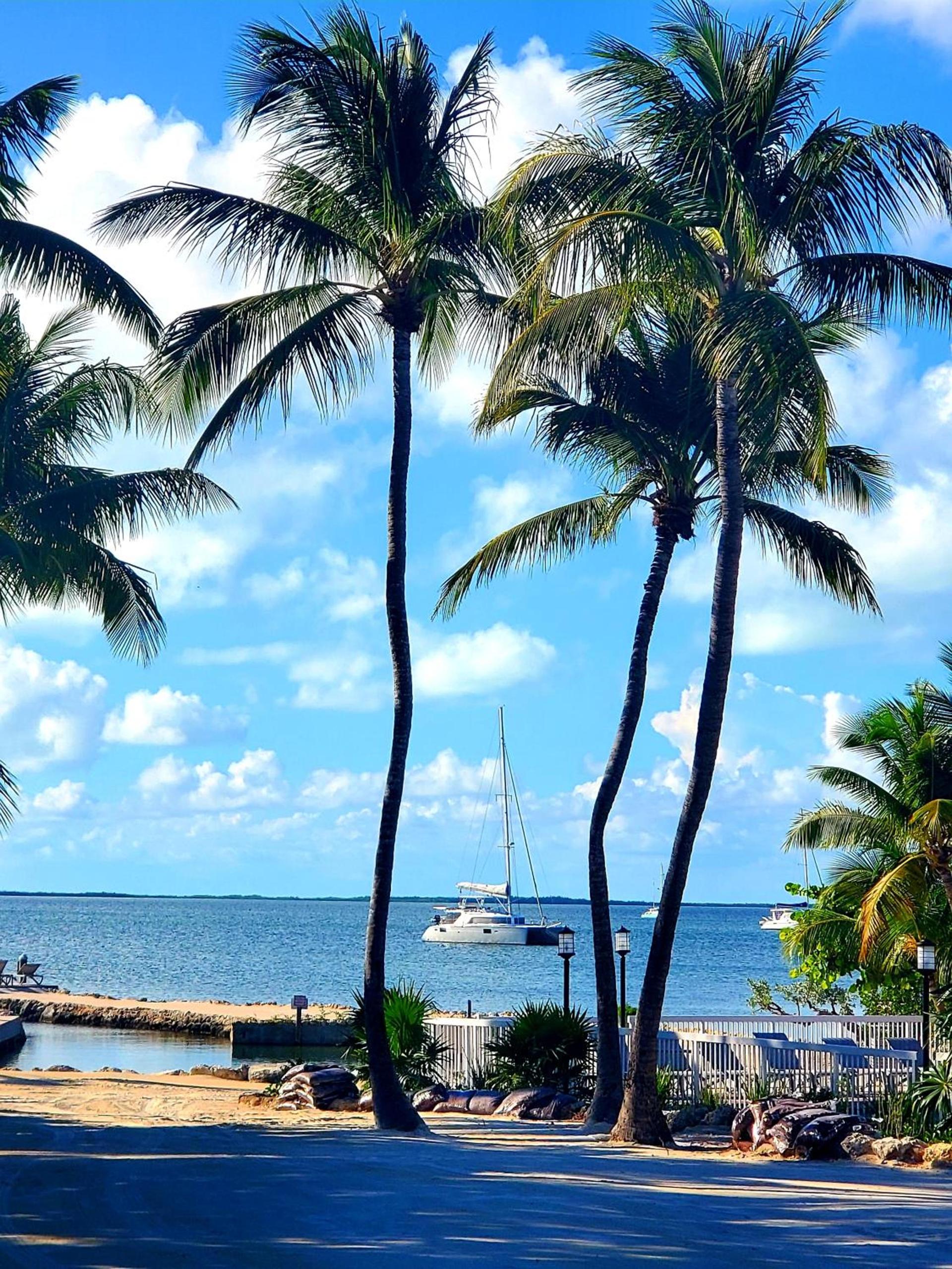 Bayside Inn Key Largo photo 74
