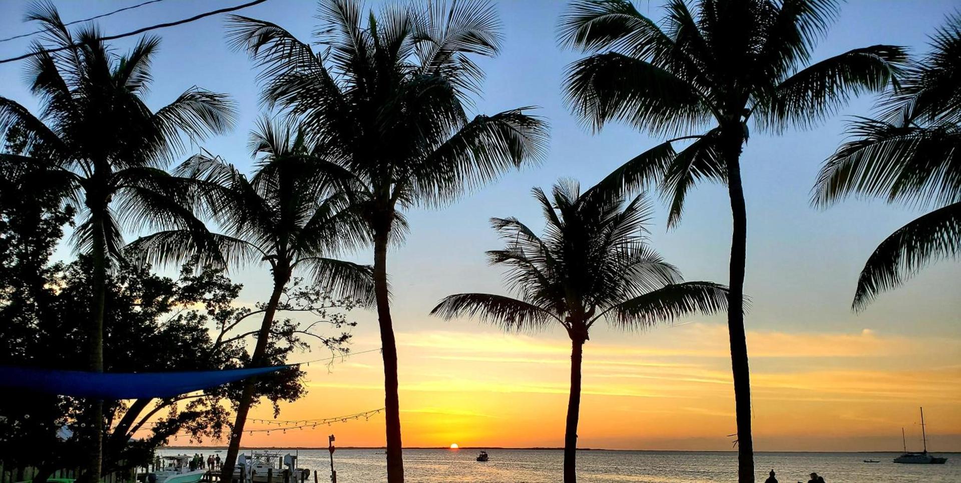 Bayside Inn Key Largo photo 81