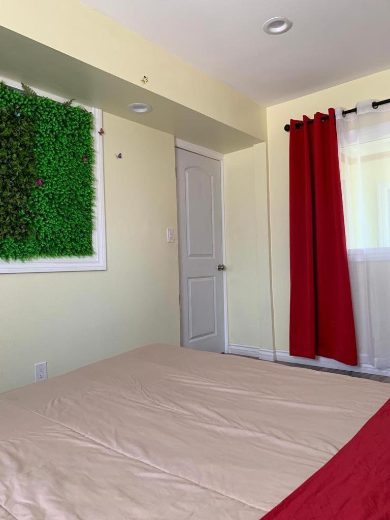 LAX guest house photo 7