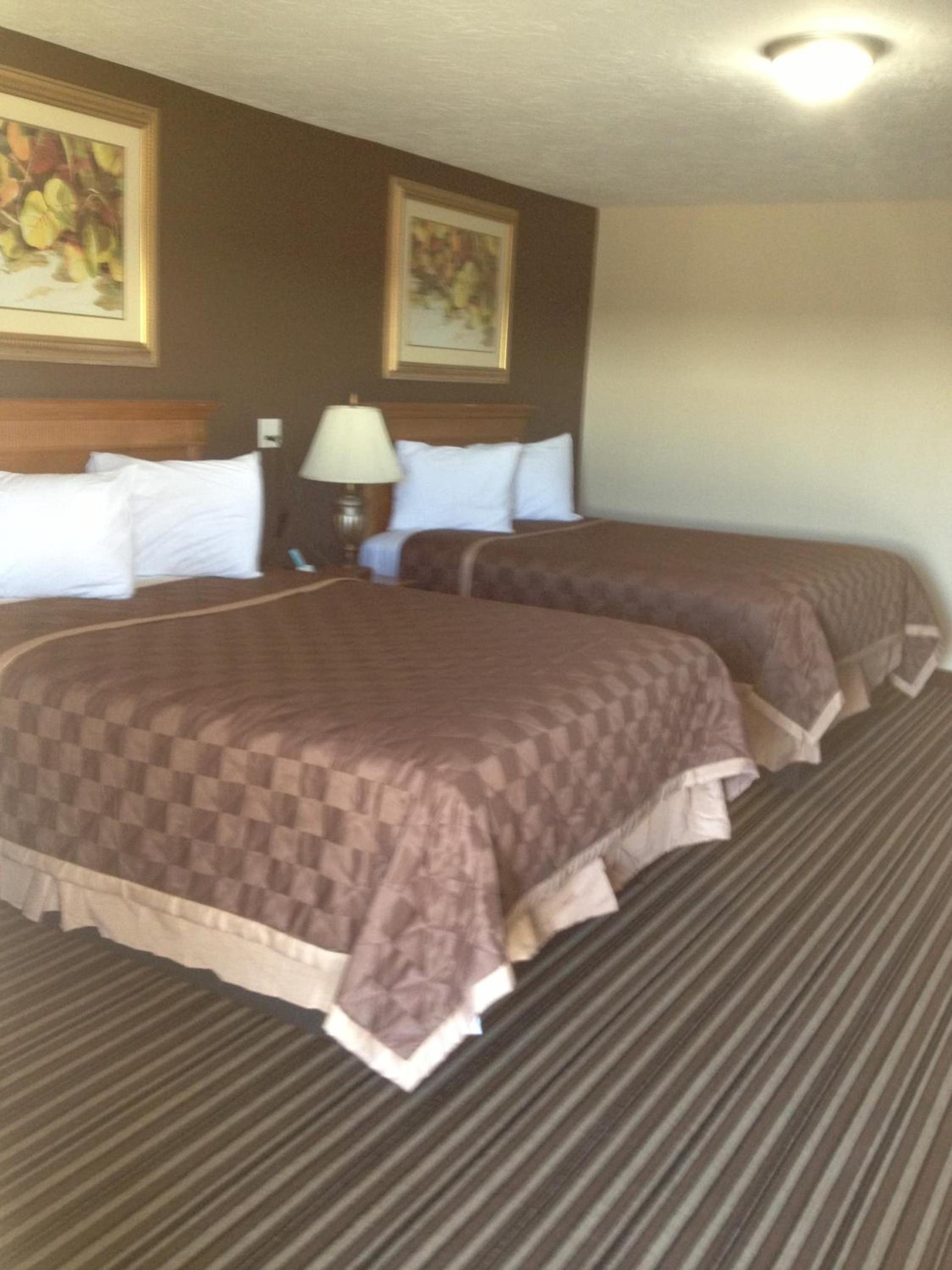 Executive Inn Snyder photo 36