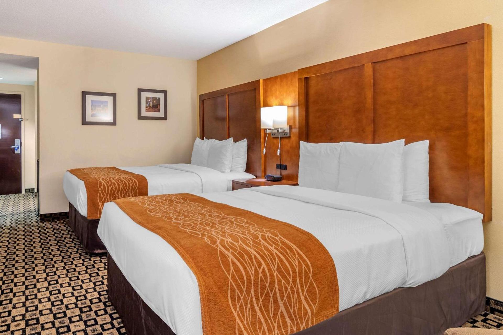 Comfort Inn & Suites Athens North photo 8