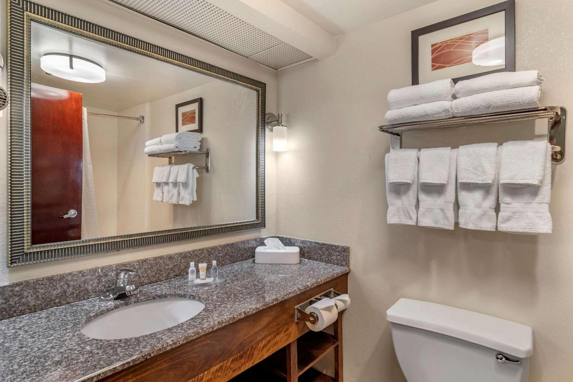 Comfort Inn & Suites Athens North photo 10