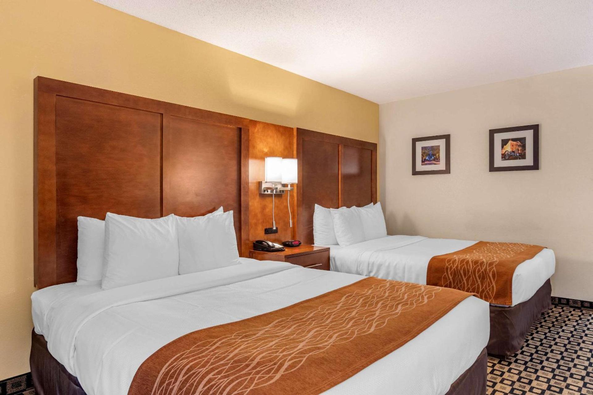 Comfort Inn & Suites Athens North photo 13