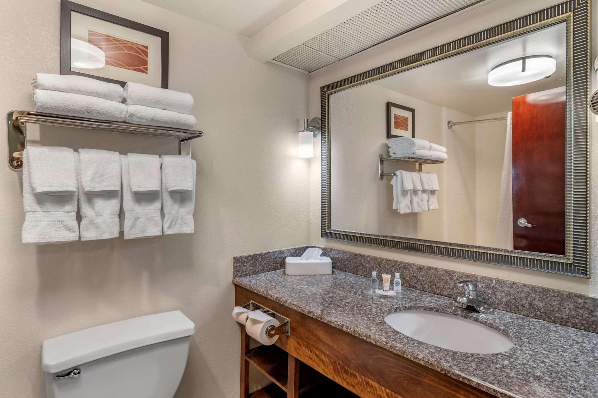 Comfort Inn & Suites Athens North photo 14