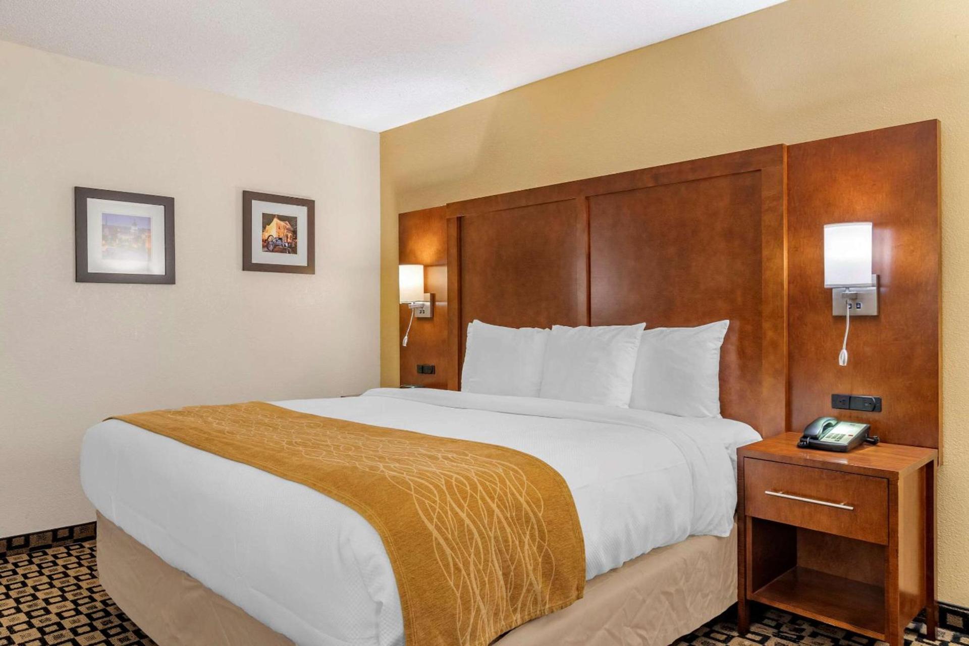 Comfort Inn & Suites Athens North photo 25