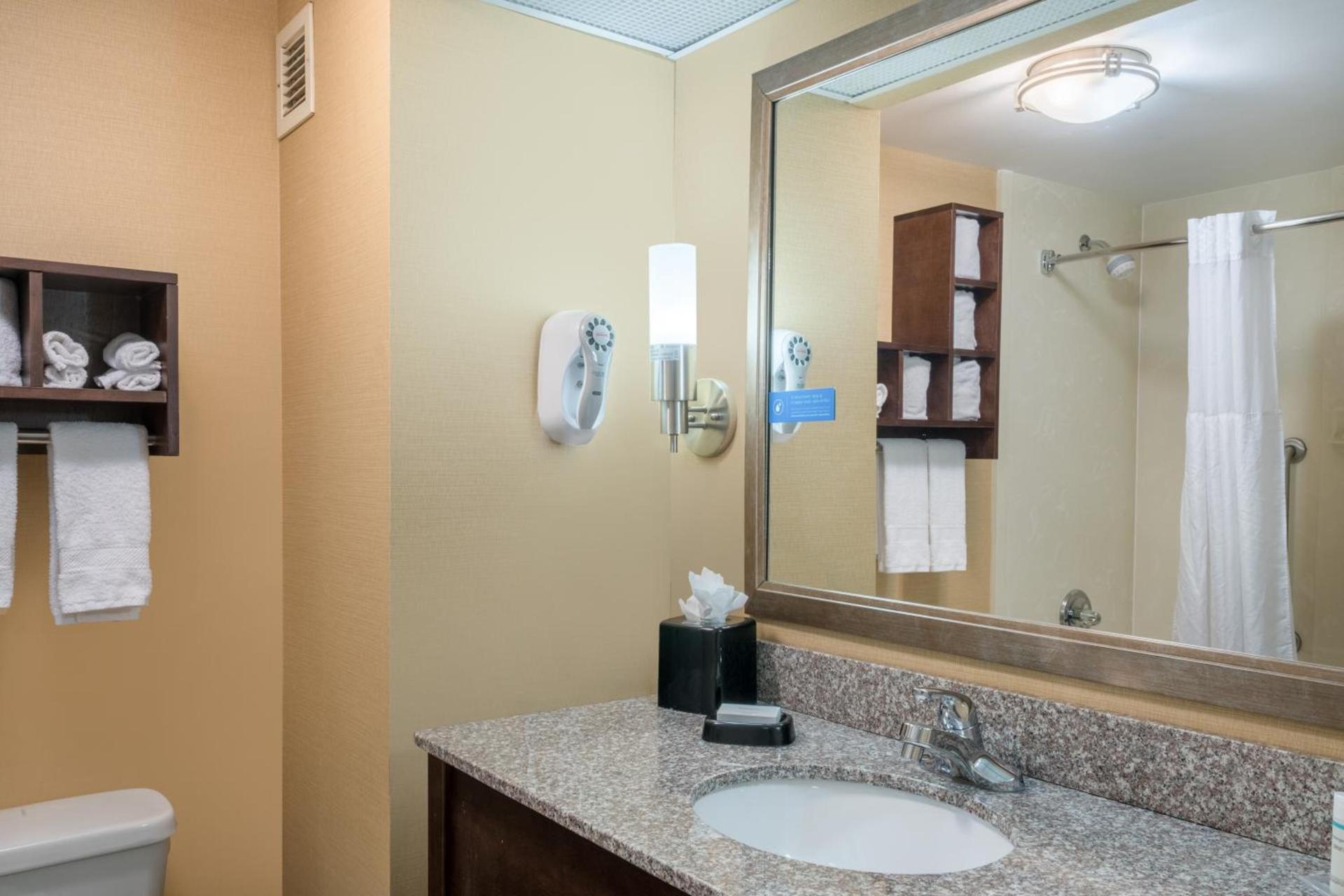 Hamilton Inn Birmingham-Bessemer photo 18